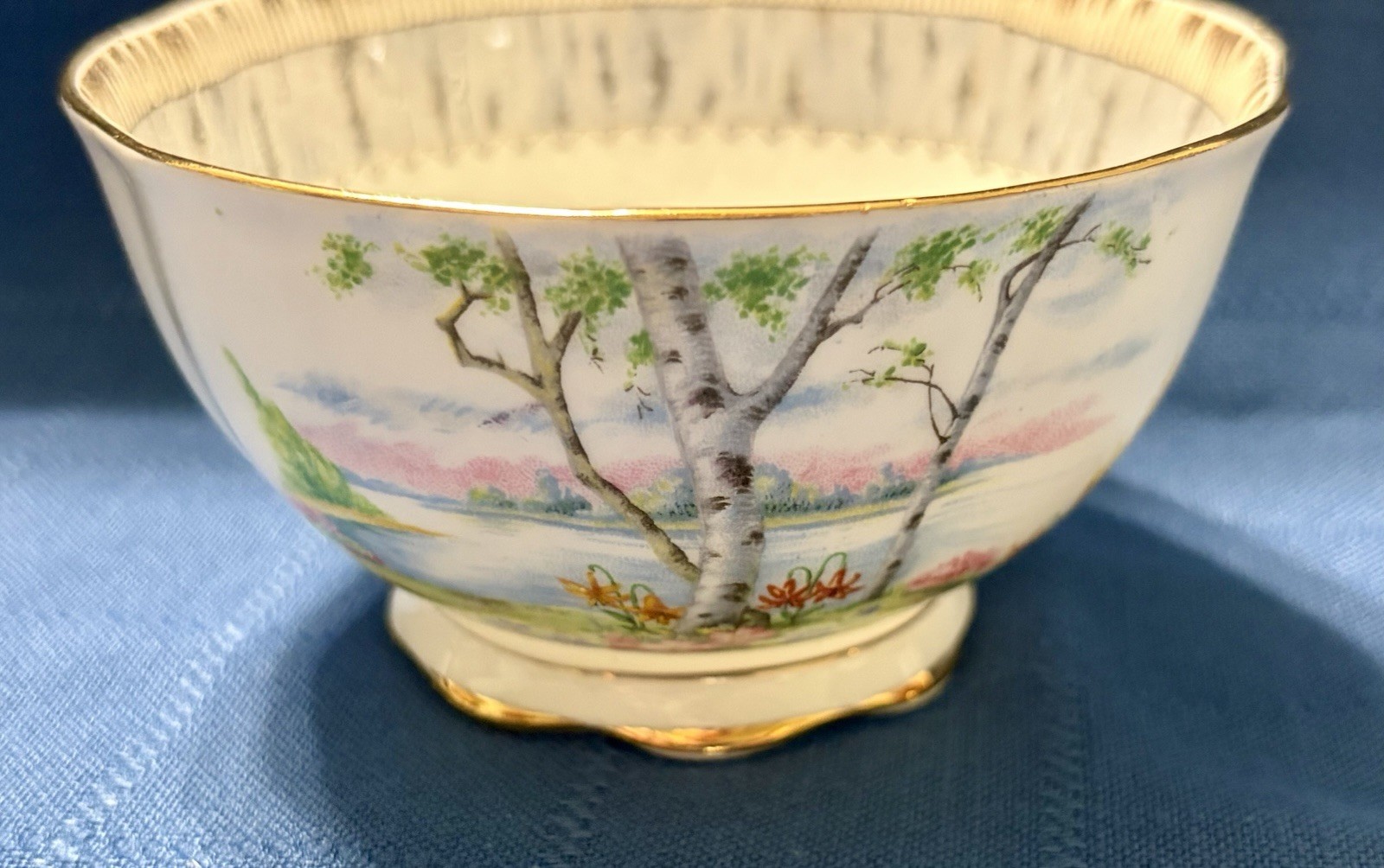 Royal Albert Silver Birch Cake Set for 6 Handled Plate C&S Cups & Saucers Plates
