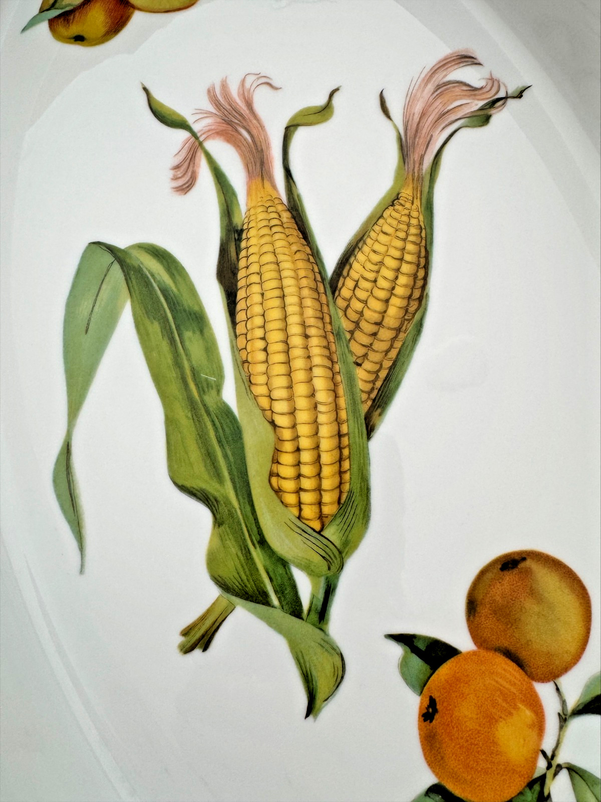 Royal Worcester Evesham Oval Platter – 14 Inch Porcelain Fruit Corn Gold Trim