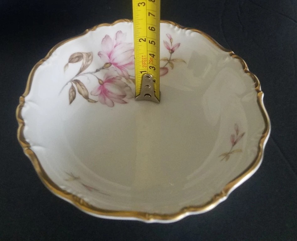Vintage Edelstein Bavaria Maria Theresa 14 Pc Tea Service Magnolia China Set