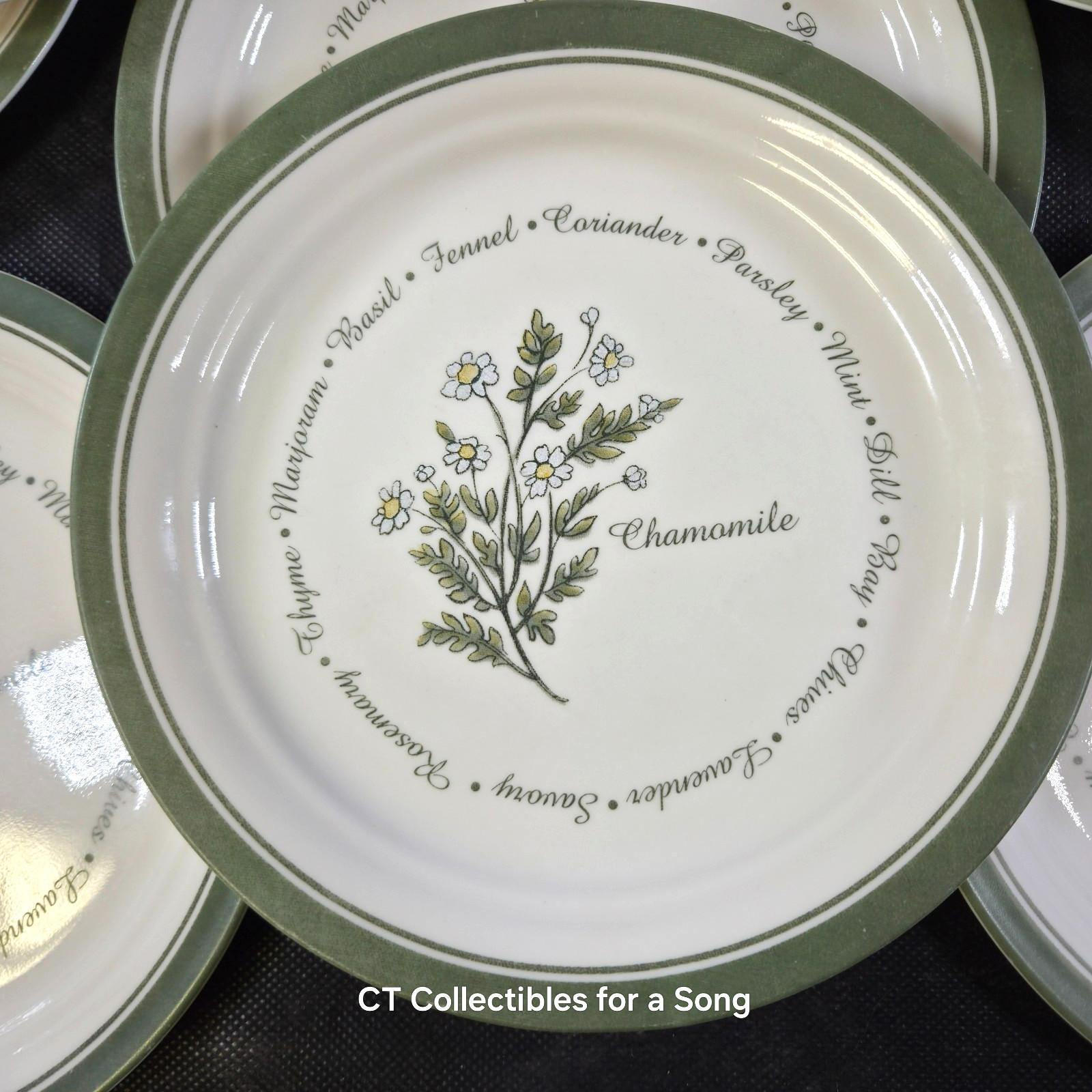VTG Set 12 Corelle Thymeless Herbs Luncheon/Salad Plates 8 1/2″ Green