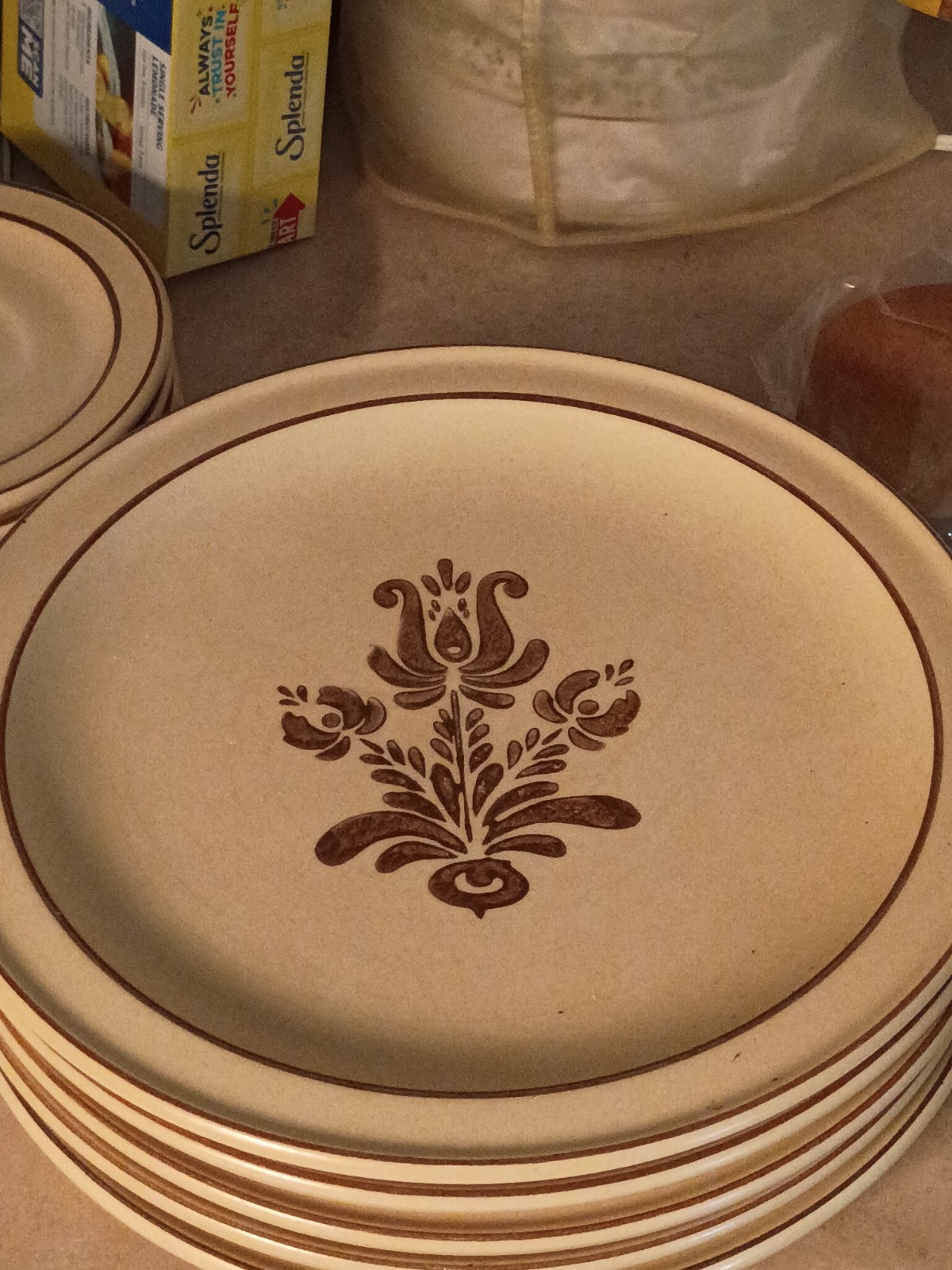 pfaltzgraff village pattern rare 10 inch plate slightly used in great condition