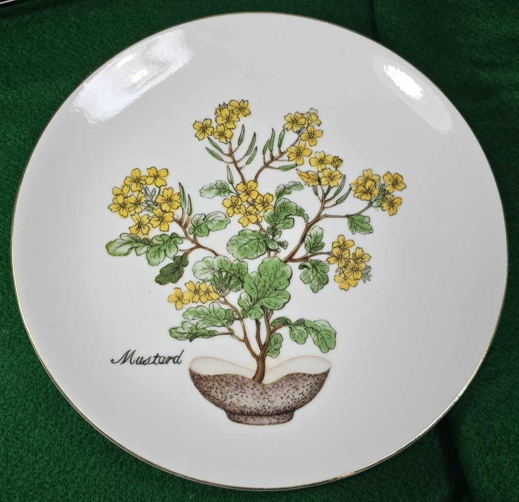 Vtg Herb Garden Wall Hanging Plates Set 4 Japan Parsley Mustard Sage Chives Deco