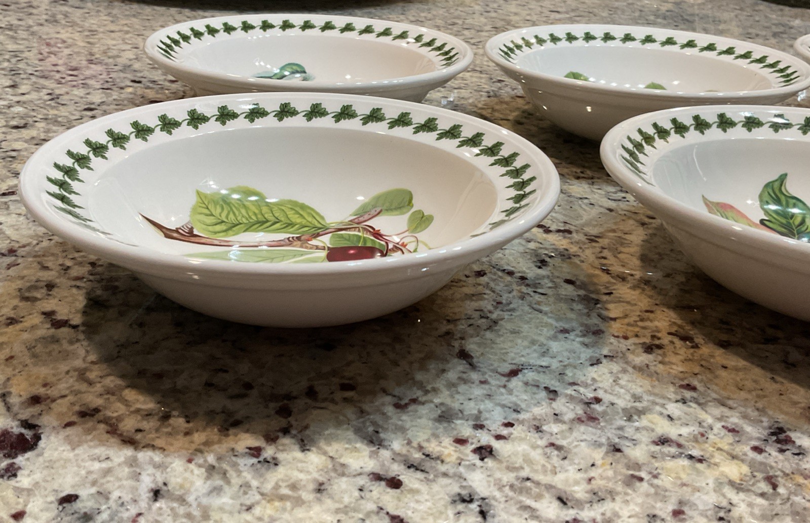 PORTMEIRION Set of 6 POMONA Rimmed Oatmeal Bowls – 6.5 in Made In England NWT