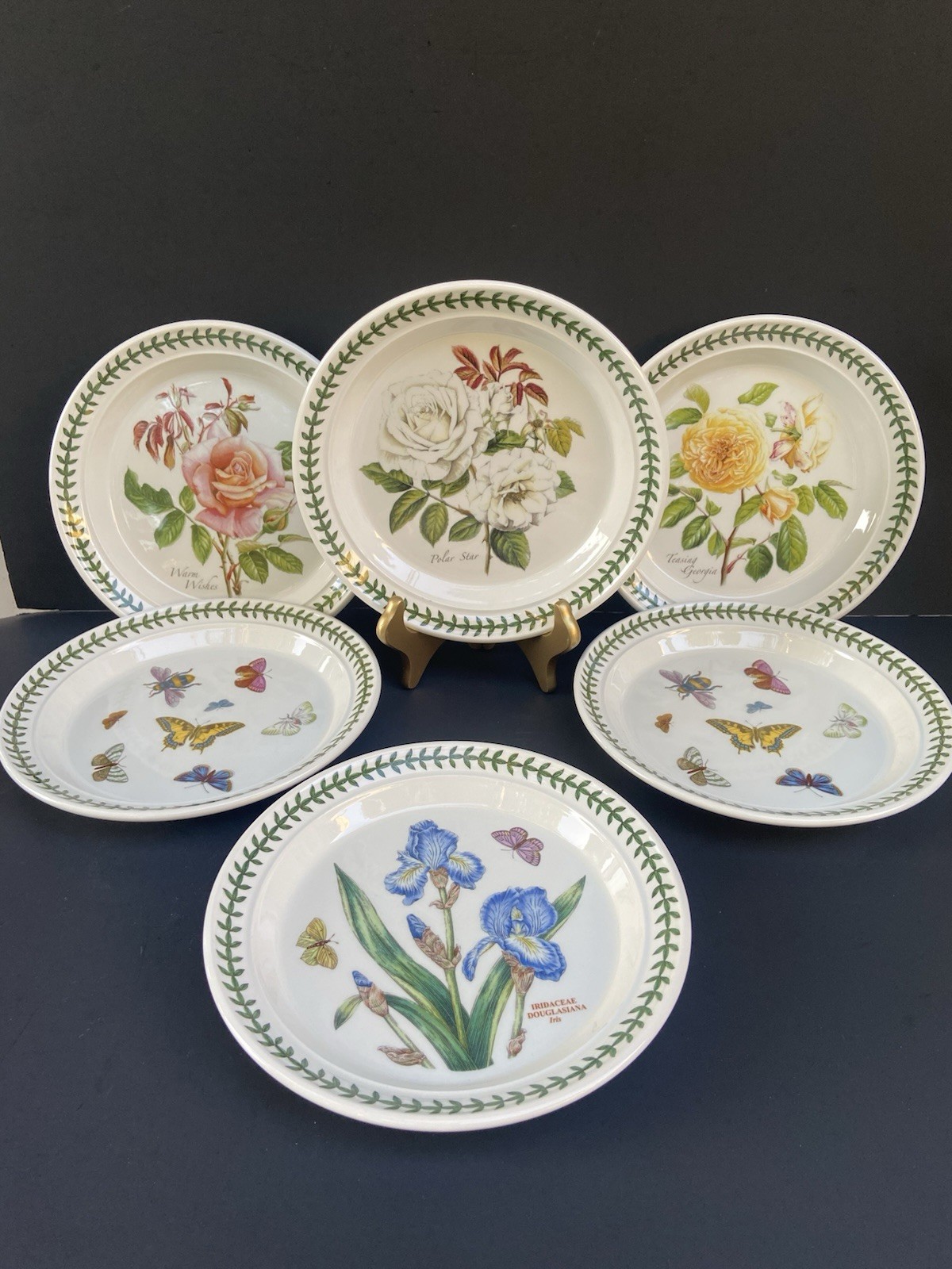 6 Portmeirion Botanic Garden Salad Plates Britain Roses Butterflies 8-1/2”