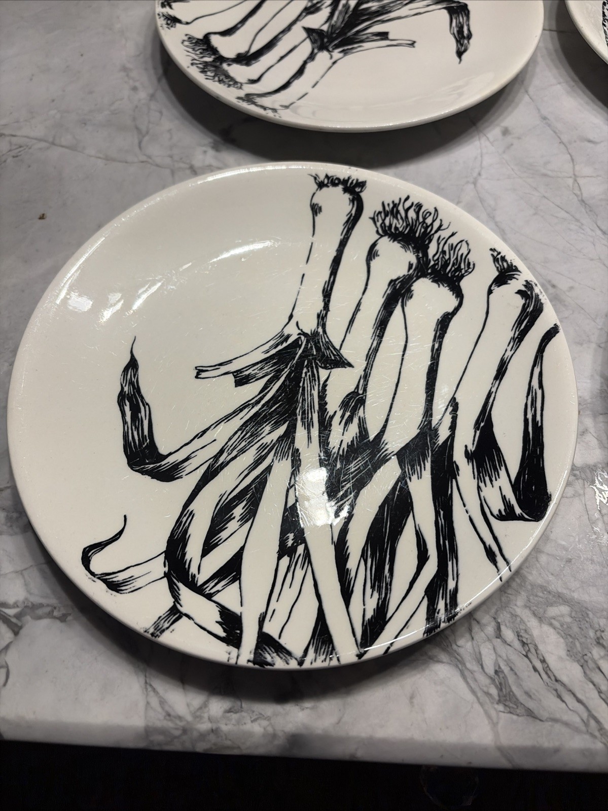 Creation Val d’Or Black & White Vegetable Botanical Plates 9.375” Diam. Set Of 6