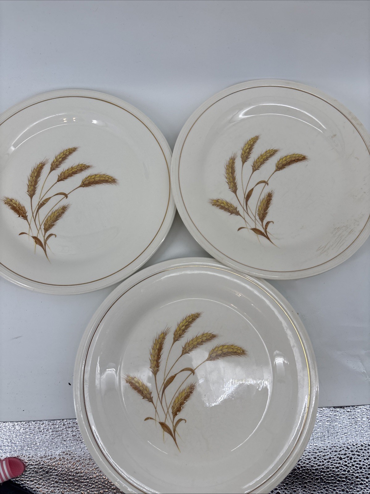 Edwin Knowles China GOLDEN WHEAT set of 6 Dinner Plates 9 7/8″ Vintage EUC