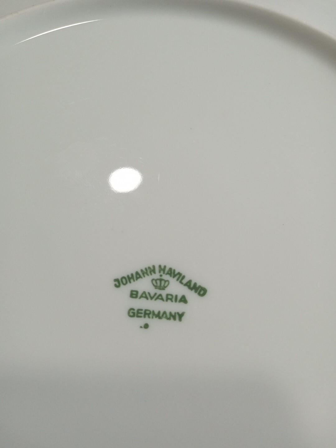 Johann Haviland Bavaria Germany Forever Spring Dinner Plate 10.25”
