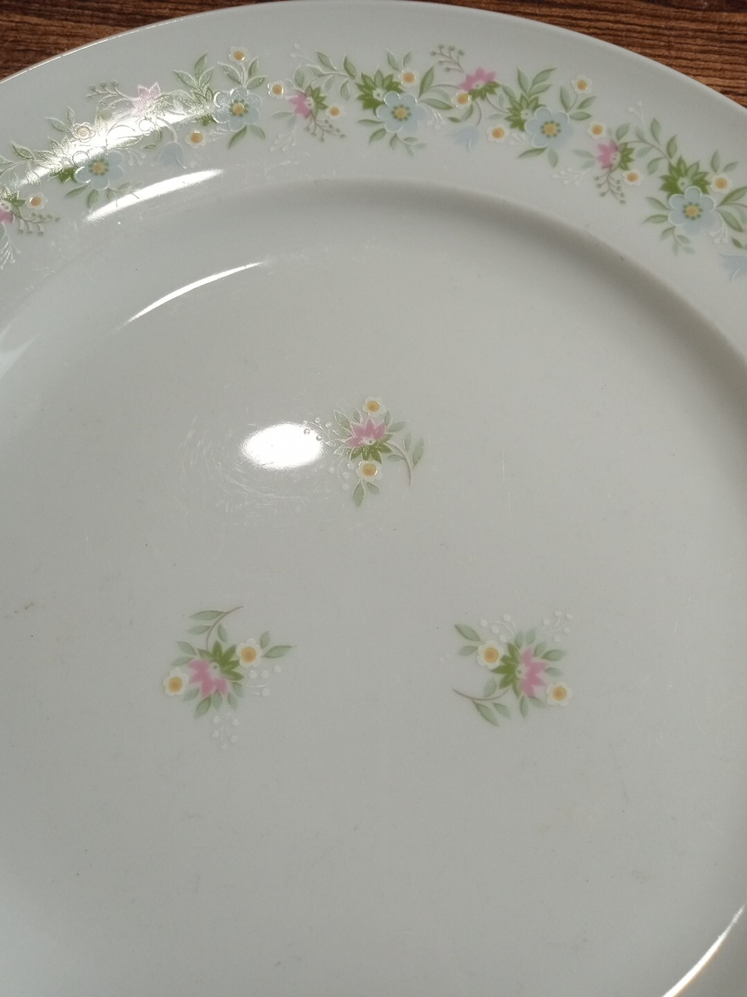 Johann Haviland Bavaria Germany Forever Spring Dinner Plate 10.25”
