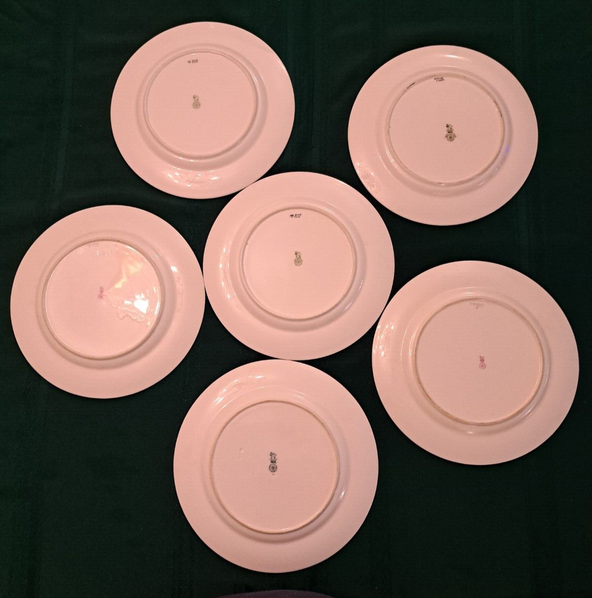 Replacement Plates Royal Doulton Dinner Encrusted Porcelain 10.5 England 6 Pc