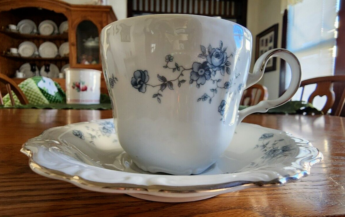 Blue Garland Cup Saucer Set Johann Haviland Porcelain White Blue Platinum !