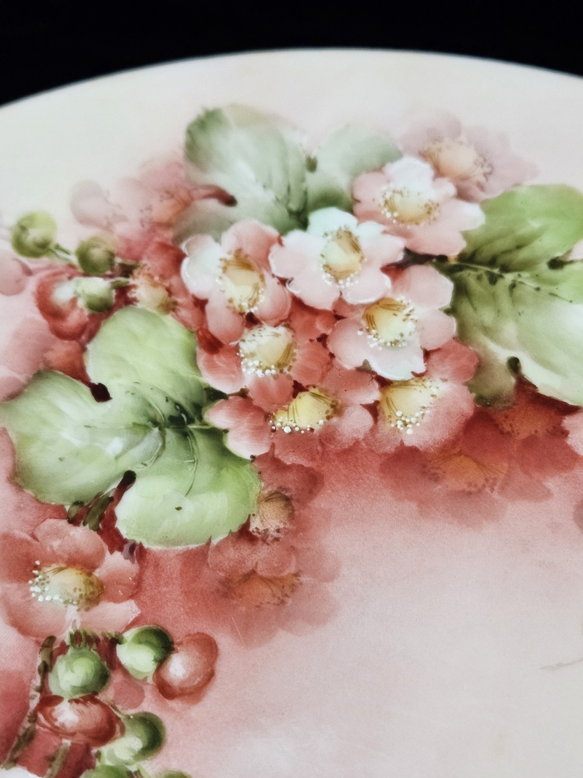 Antique White Pink Green Floral Plate Hand-painted Porcelain Cottagecore