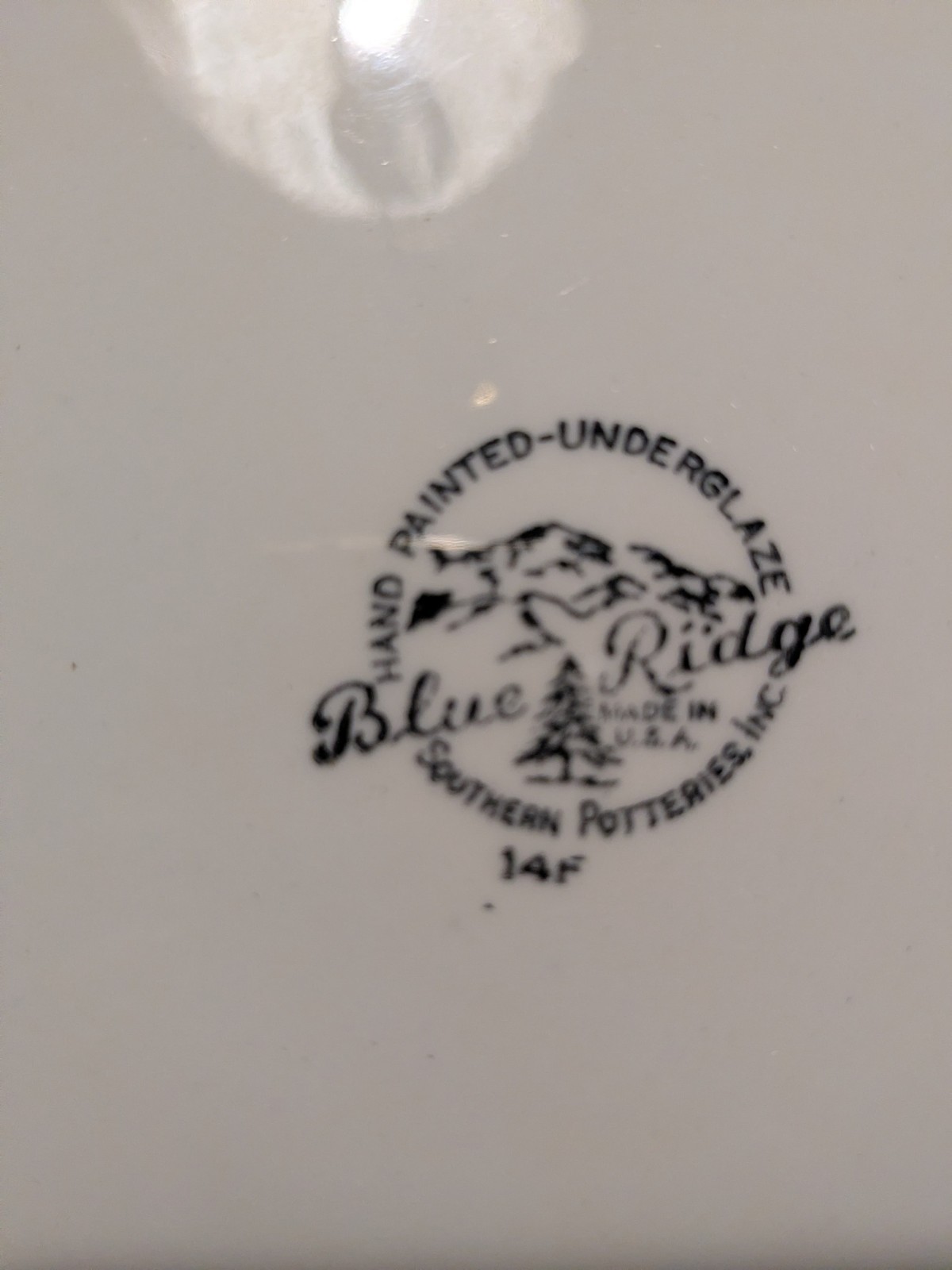 Blue Ridge Stanhome Ivy 17 Piece Set of Dishes.