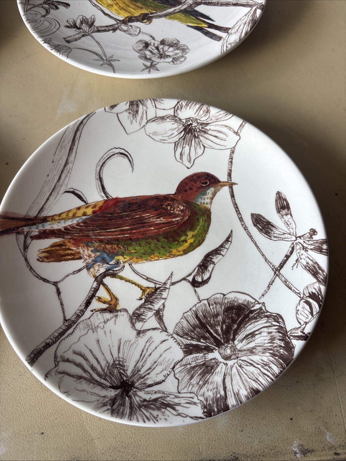 William And Sonoma Botanical Birds 2012 6 Luncheon /dessert Plates