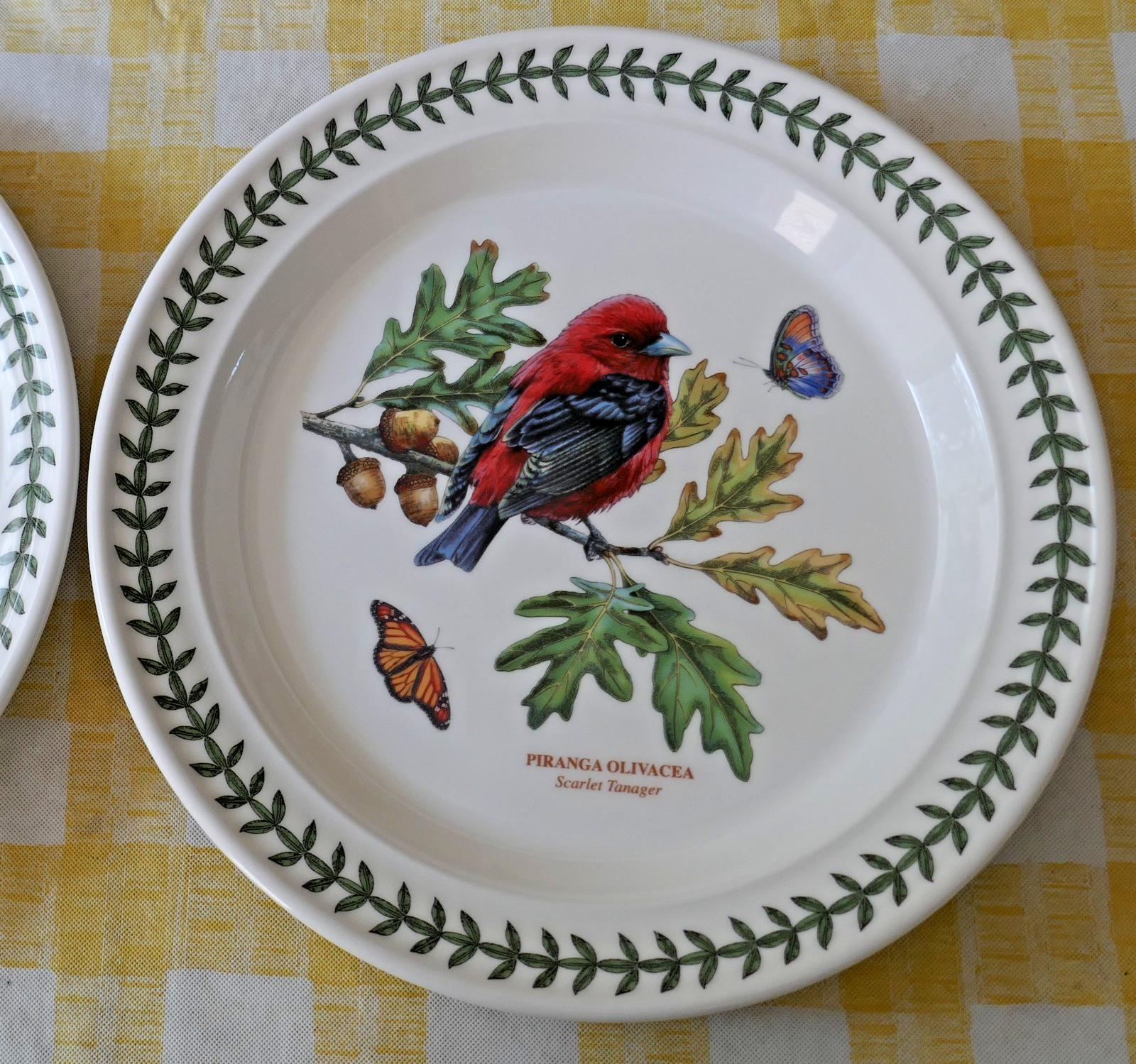 Portmeirion Botanic Garden Birds Dinner Plates Scarlet Tanager Western Bluebird