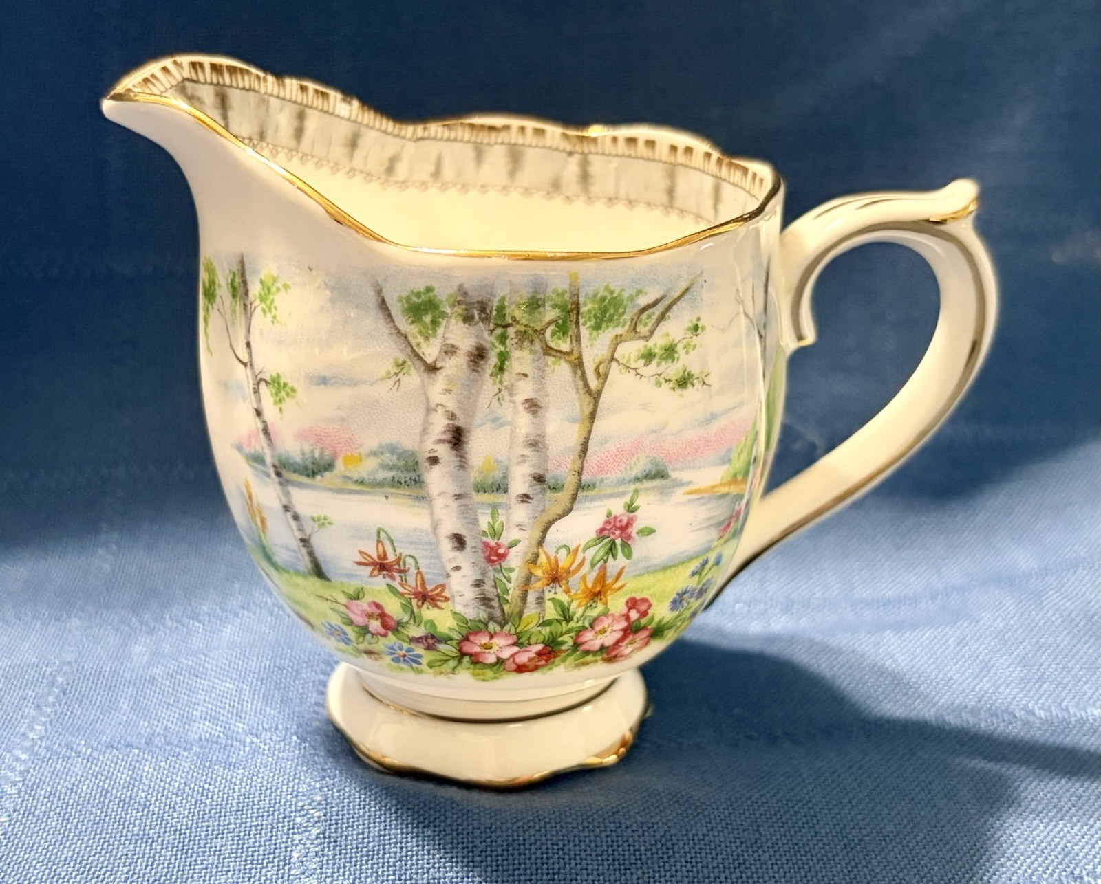 Royal Albert Silver Birch Cake Set for 6 Handled Plate C&S Cups & Saucers Plates