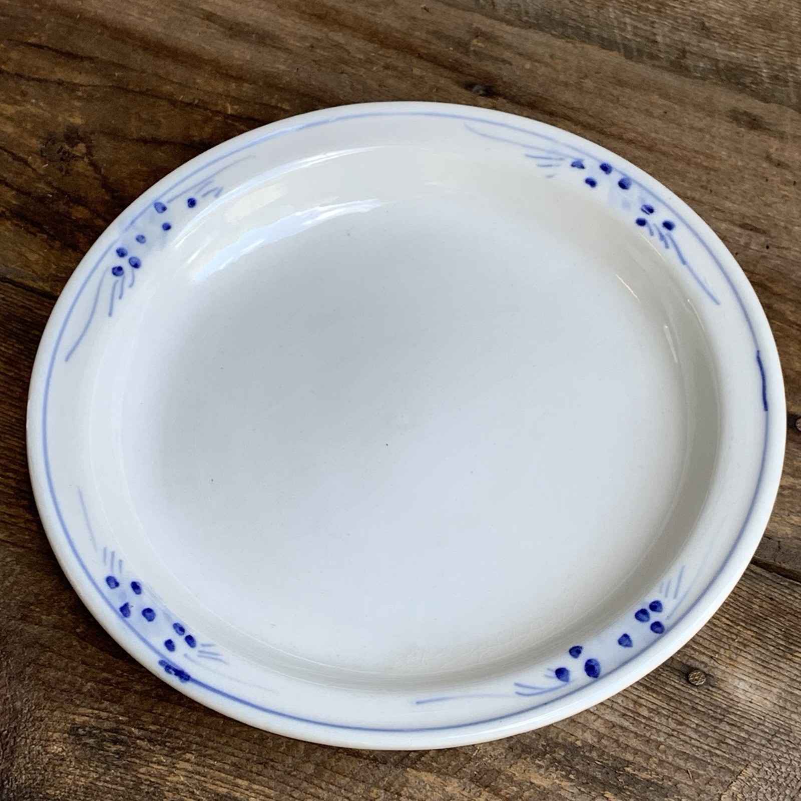 Blue White Serving Dish 10.5” Round Ceramic Earthenware