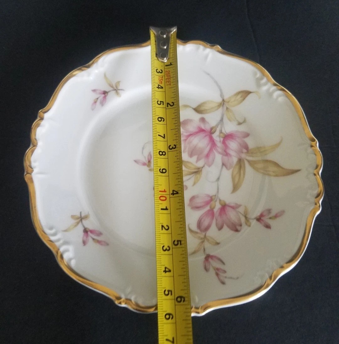 Vintage Edelstein Bavaria Maria Theresa 14 Pc Tea Service Magnolia China Set