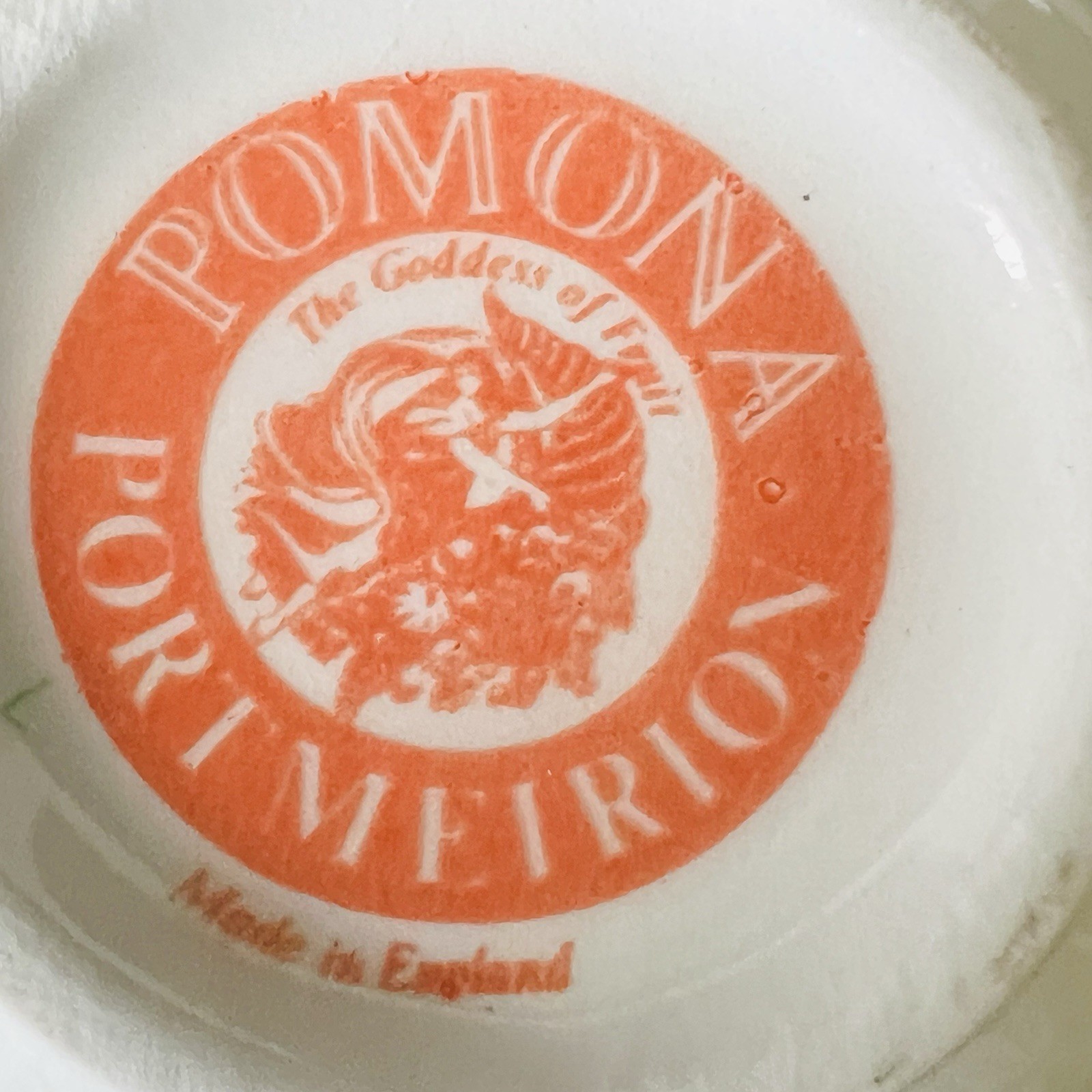 VTG Portmeirion Pomona Set Of 6 Small Fruit Cups Mugs Porcelain Made in England