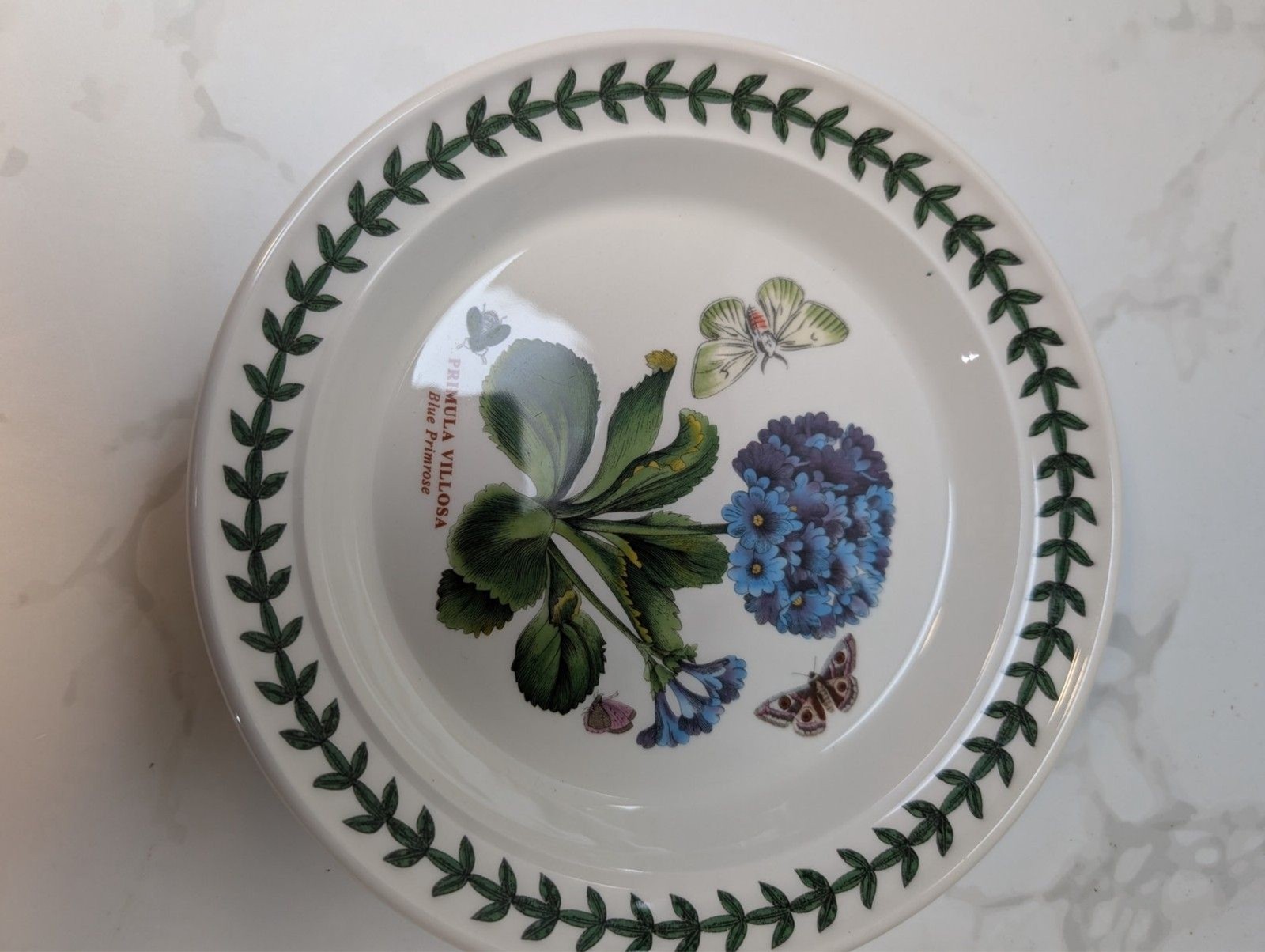 Portmeirion Botanic Garden 7.25″ Dessert Side Plates Fuchsia Primrose