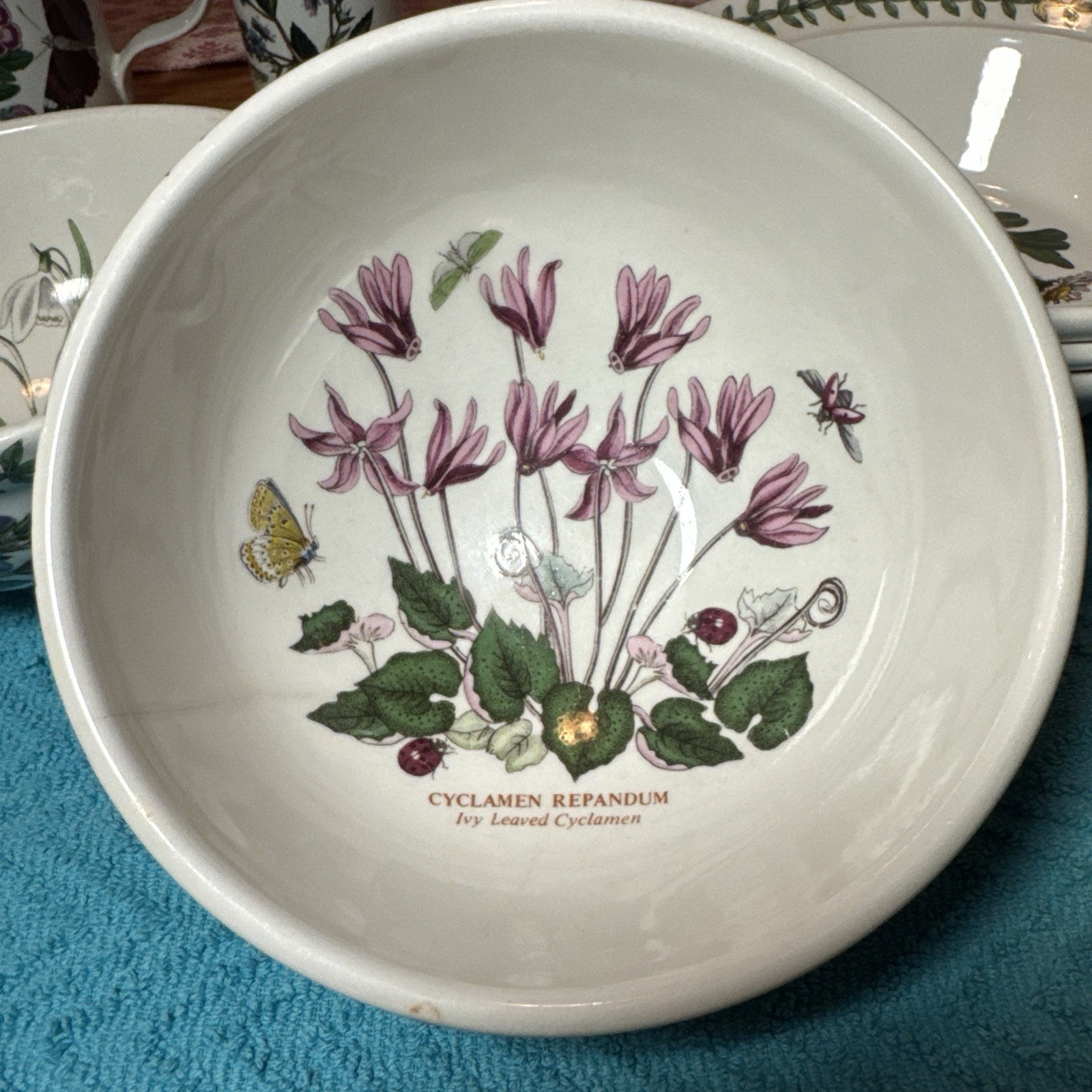 Portmeirion BG Salad Desert Bowl Cyclamen Pattern 5 3/8″ . NOTE surface crack.