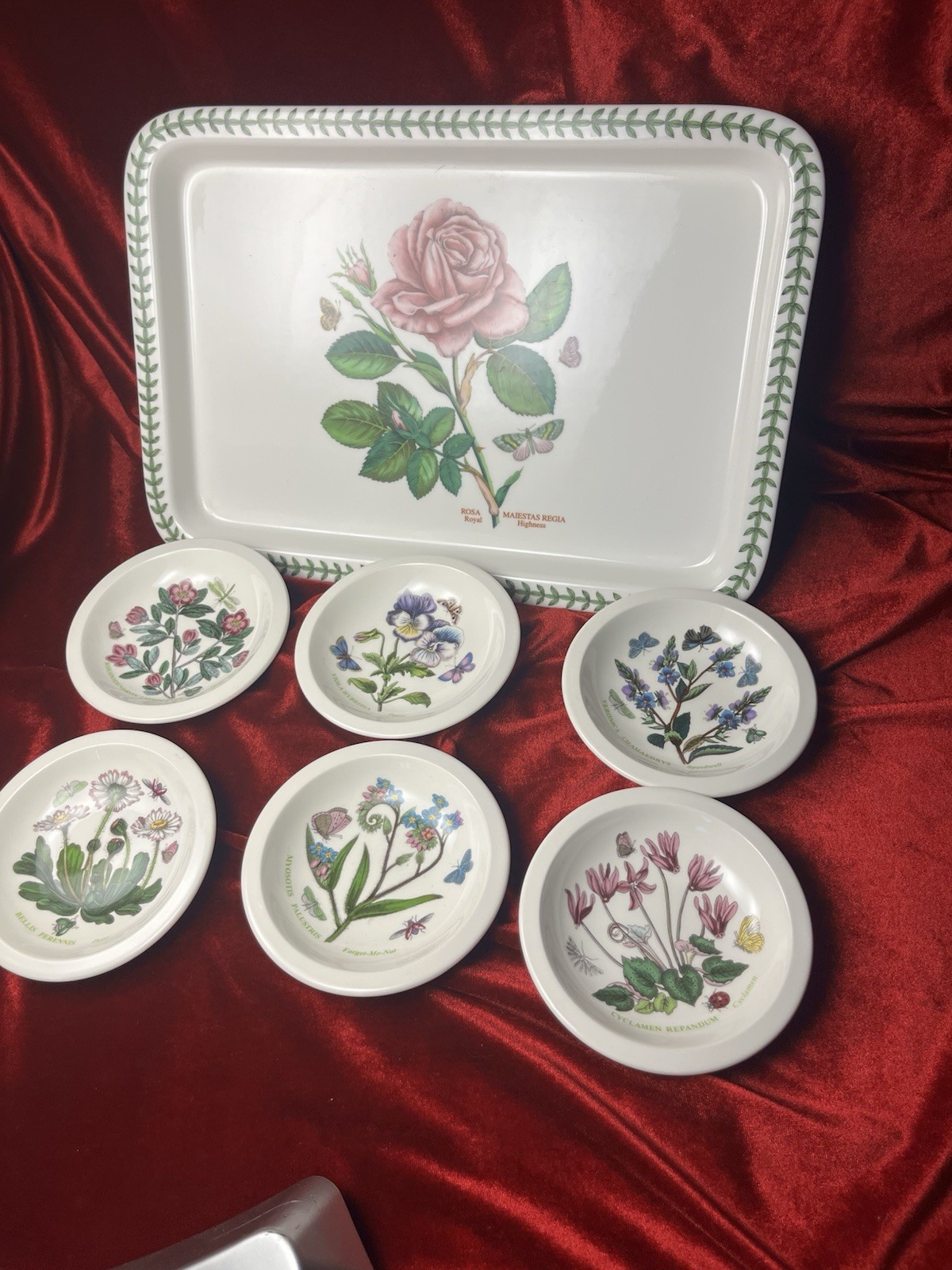 Portmeirion Botanical Garden Dish Set Platter Server And 6 Dip Plate Saucer Rose