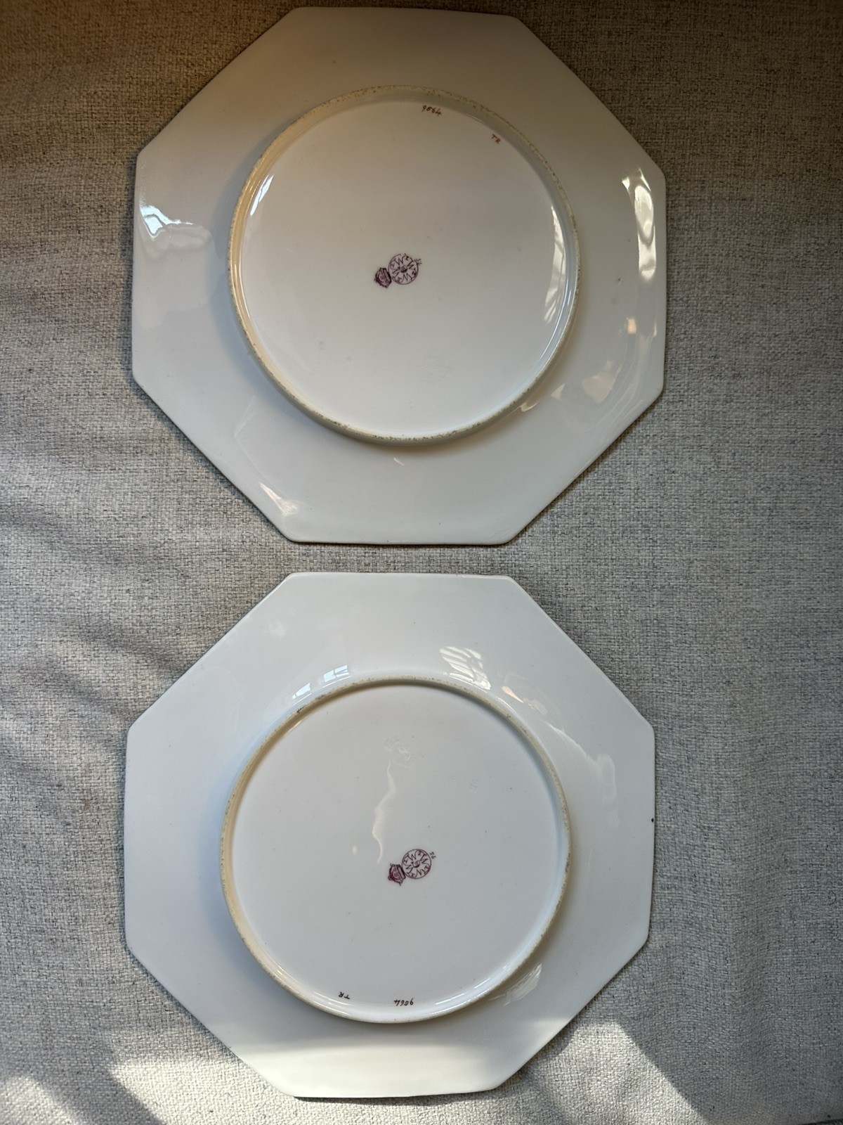 Pair Antique Royal Worcester Botanical hand painted octagonal Plates Floral Gilt