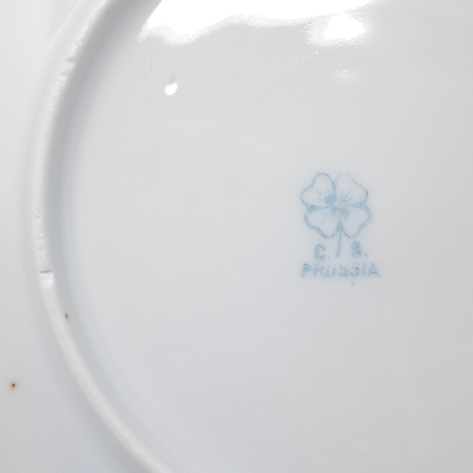 CS Prussia 6″ Porcelain Plate gold rim handpainted florals Antique schlegemilch