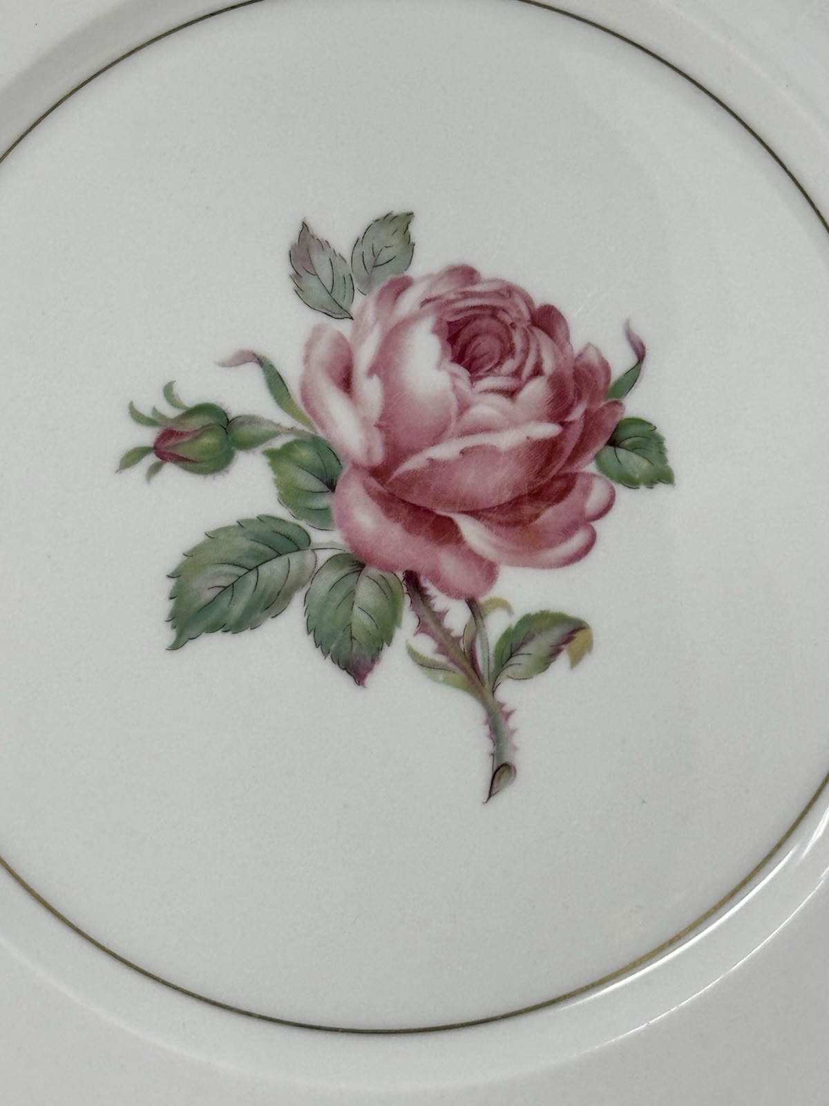 2 Ancestral USA China Manor Rose Dinner Plates rose floral gold trim GUC elegant