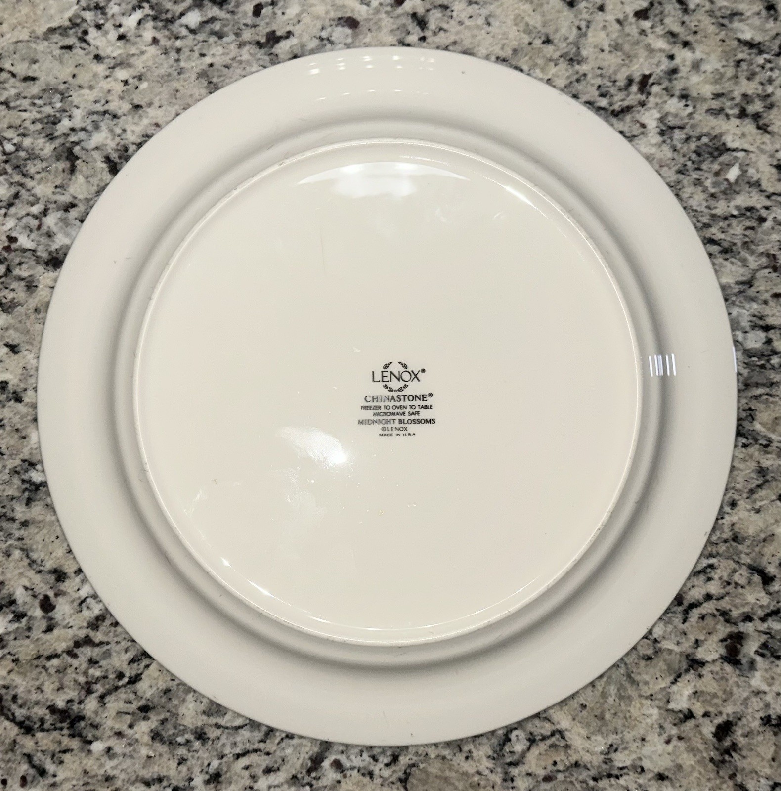 Lenox Chinastone Midnight Blossoms Four Piece Place Setting