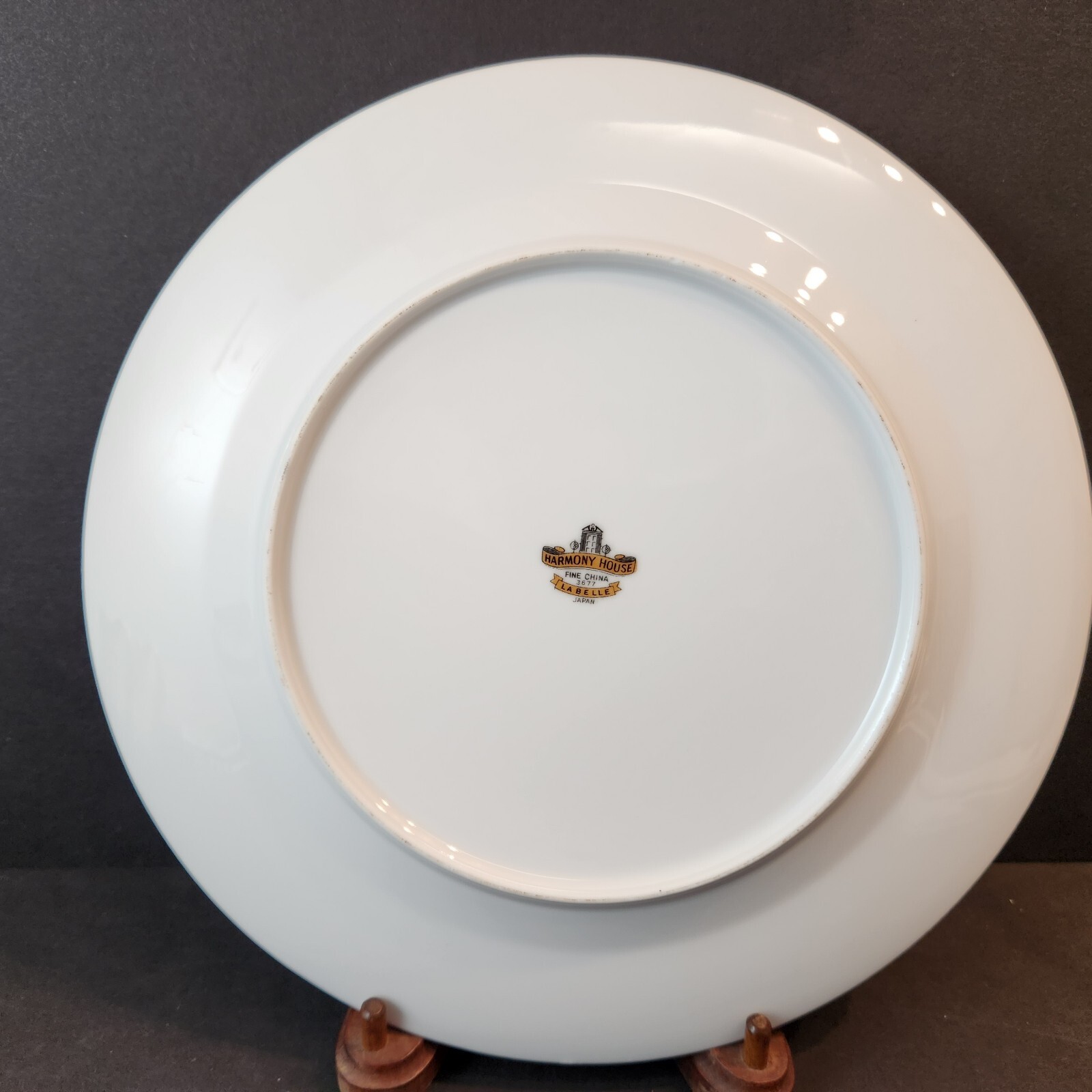 La Belle by Harmony House 10 1/8″ Dinner Plates Set of 2