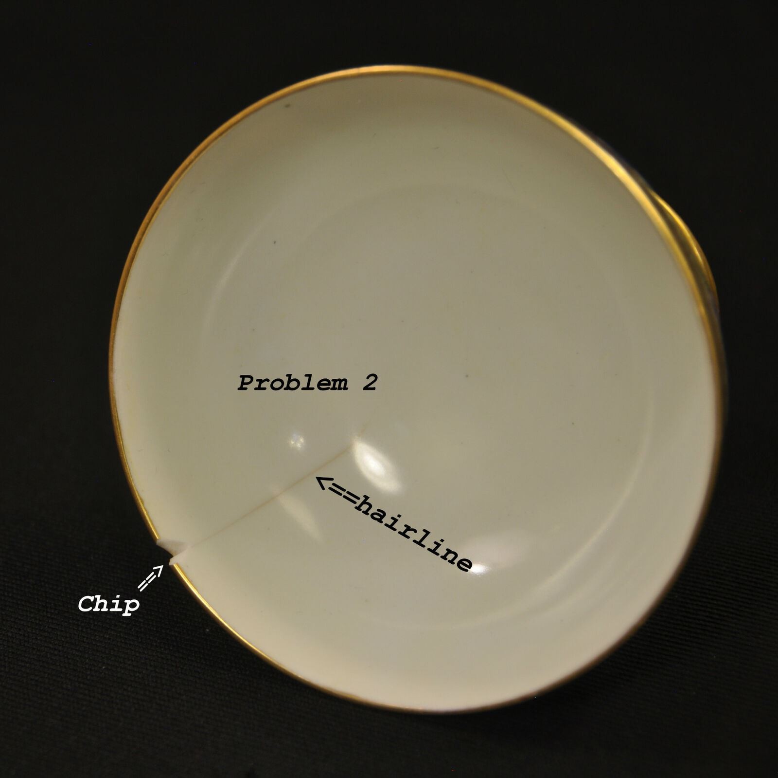 Punch Set Bowl 10 Cups Schachtel Charlottenbrunn Silesia Hand Painted 1899-1918