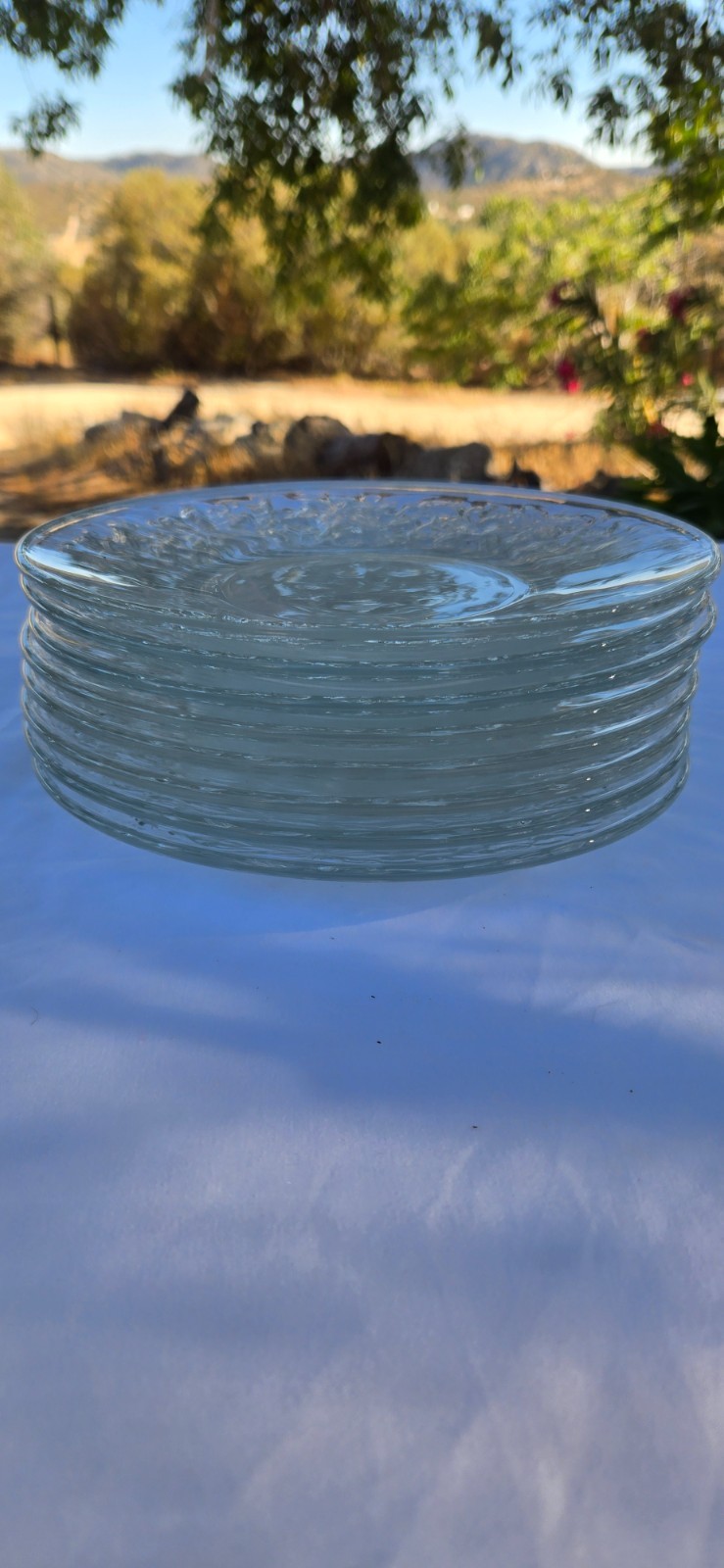 Set of 8x Princess House Fantasia Frosted Glass Crystal 8″ Dessert Salad Plates