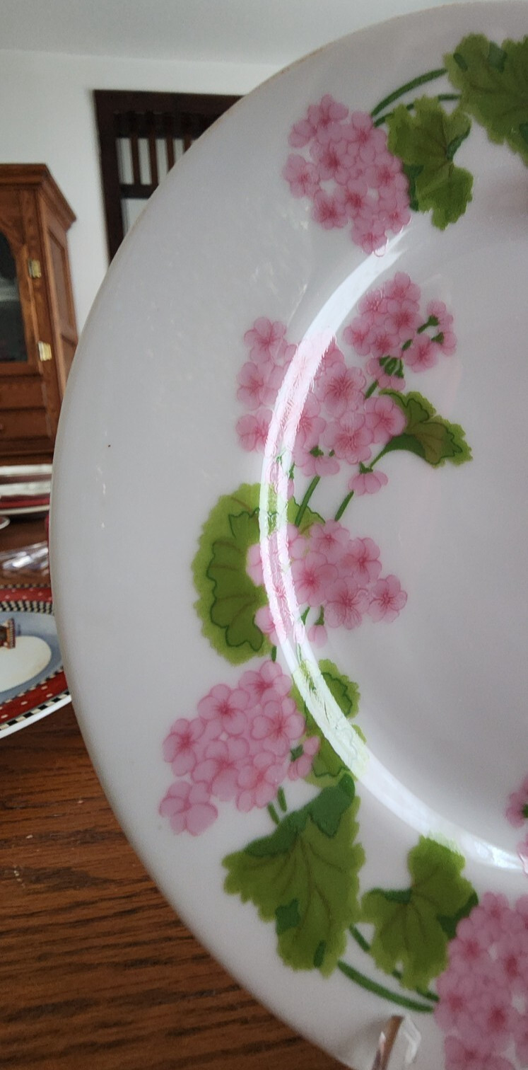 Because Salad Plate (s) 7 1/2″ Round Mikasa L9006 Japanese White Pink Green !
