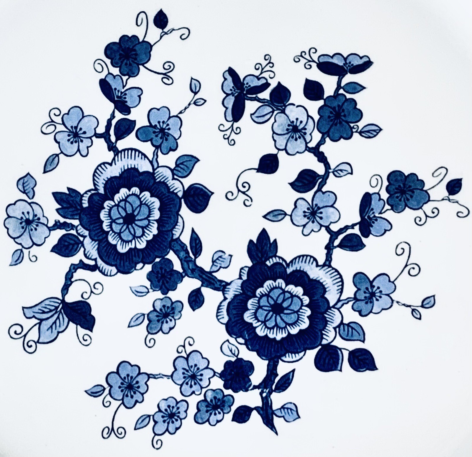 Wedgwood & Co ROYAL BLUE Flowers Swirl Ironstone 10 1/8″ Dinner Plate MINT