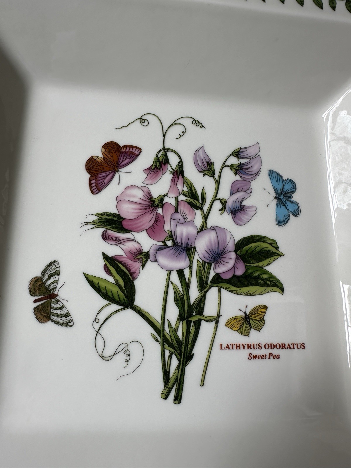 Portmeirion BOTANIC GARDEN 12″ Square Low Bowl SWEET PEA
