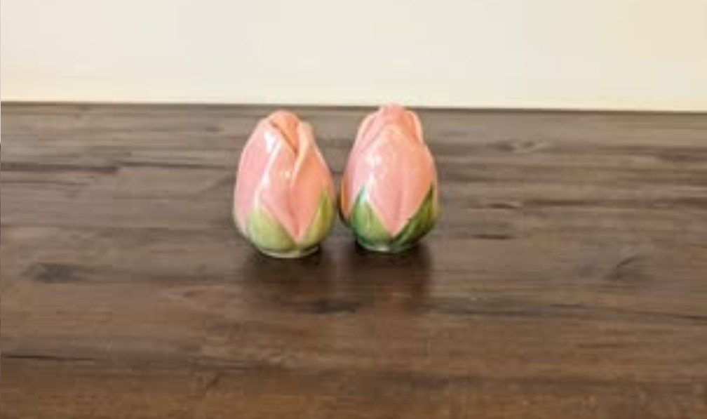 Floral Ceramic Dinner Set White Pink Green with Serving Pieces & Shakers