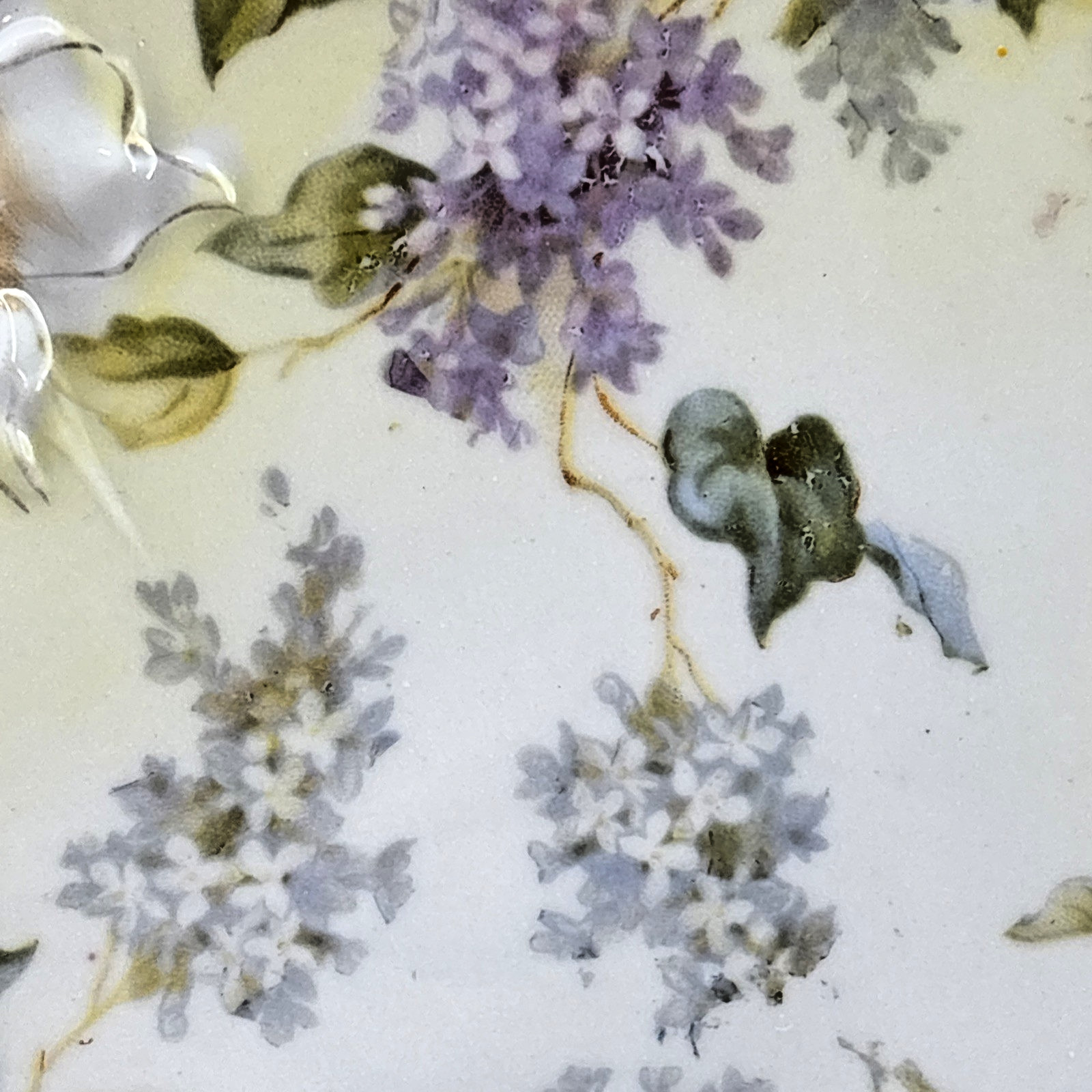 RS Prussia Harvest Mold Porcelain Plate Intricate Cut Outs Swirls Hand Painted