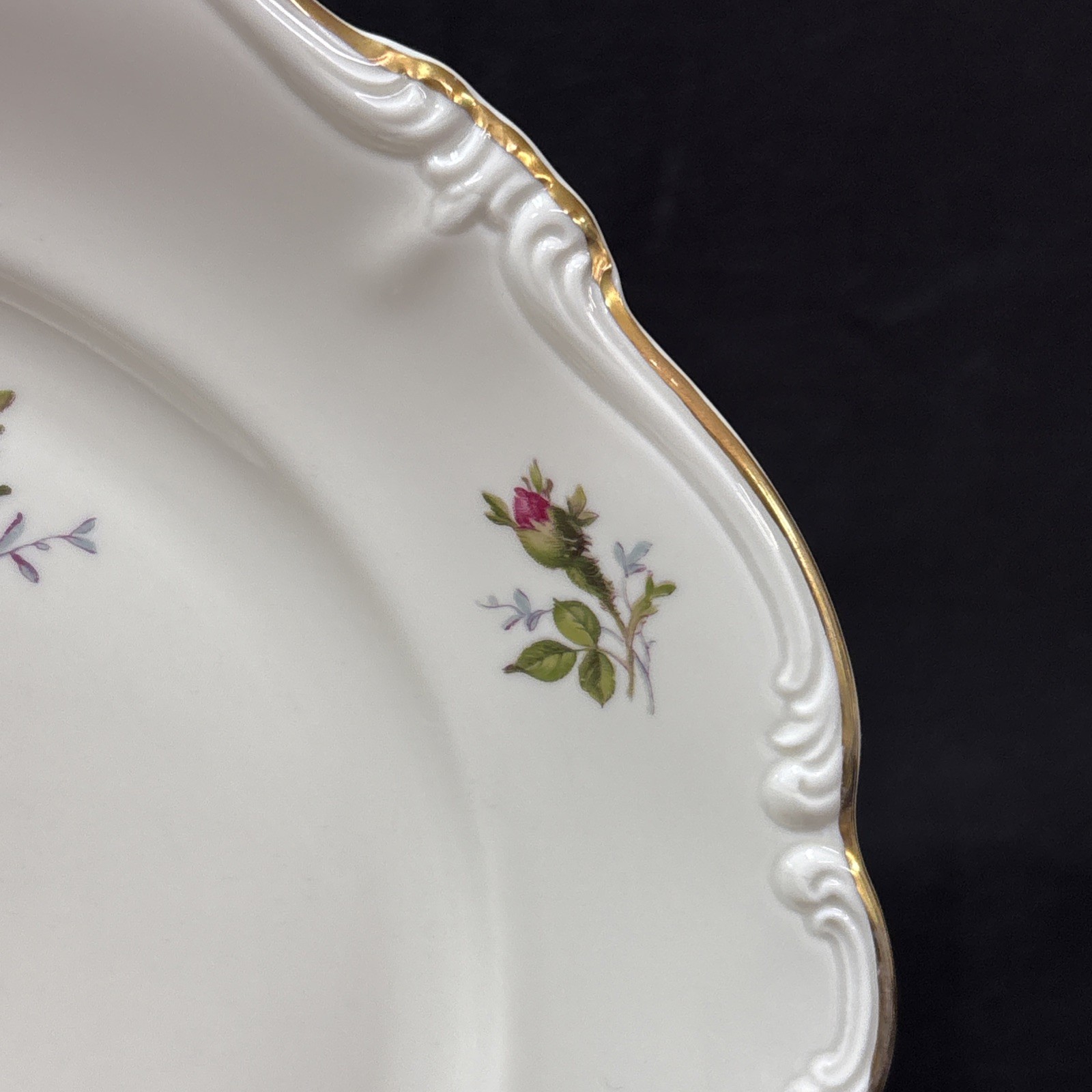 Rosenthal Continental MOSS ROSE POMPADOUR (Ivory) Dinner Plate 10 1/8 Inches