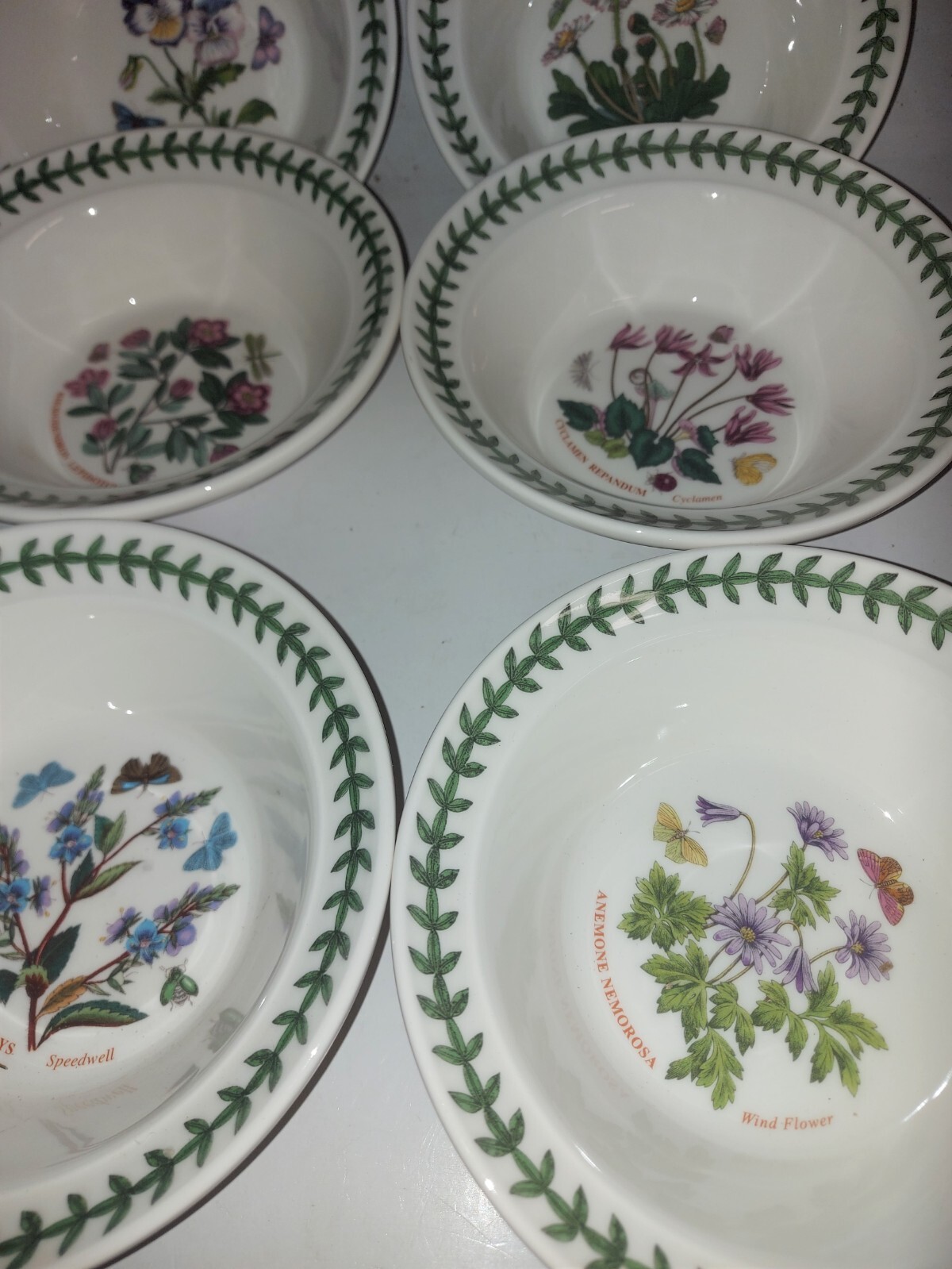 Portmeirion Botanic Garden set of 6 assorted oatmeal/cereal bowls—-SD060—-