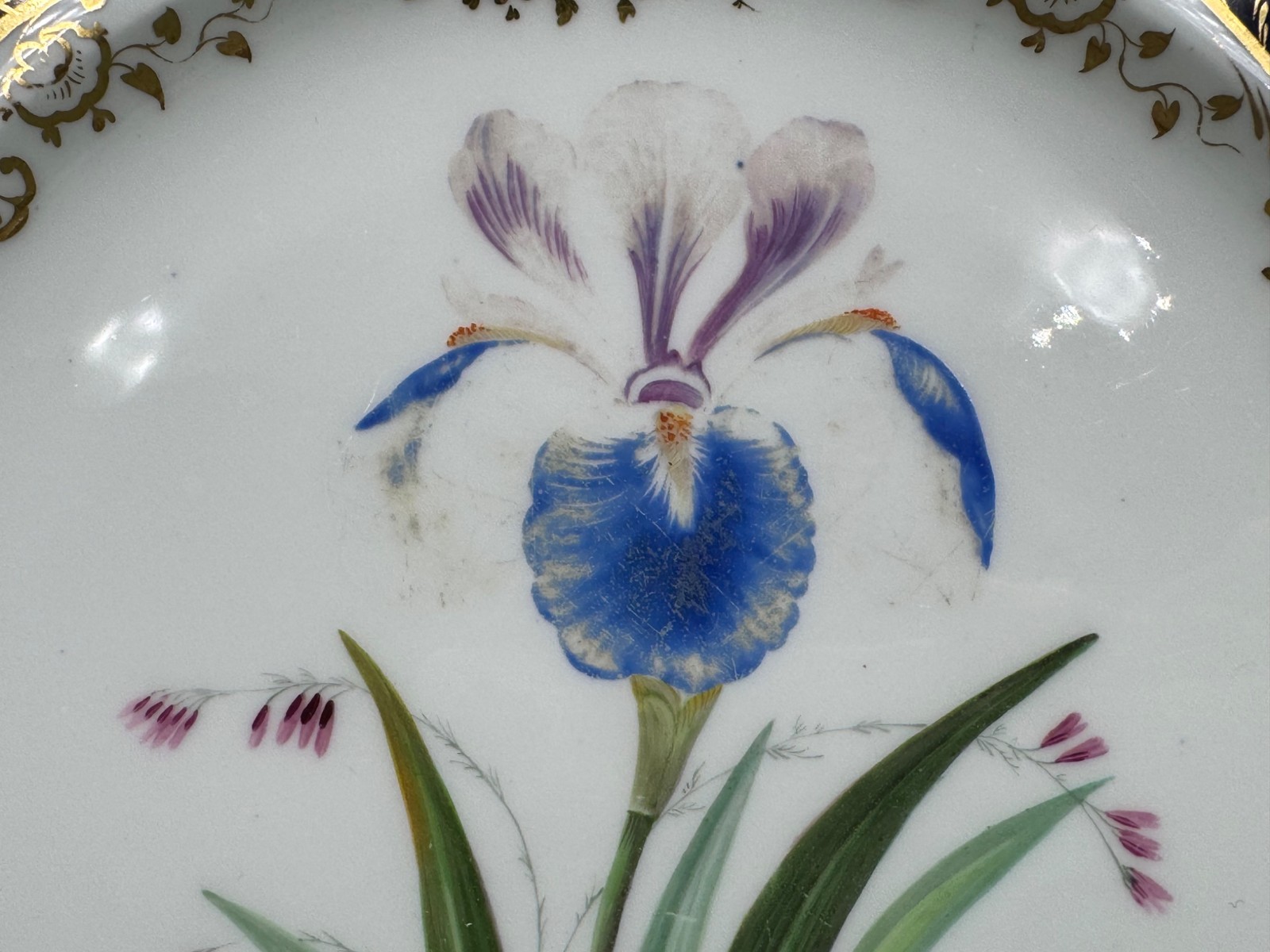 Set of 11 Antique Cobalt Blue & Gold Hand Painted Floral Luncheon Plates