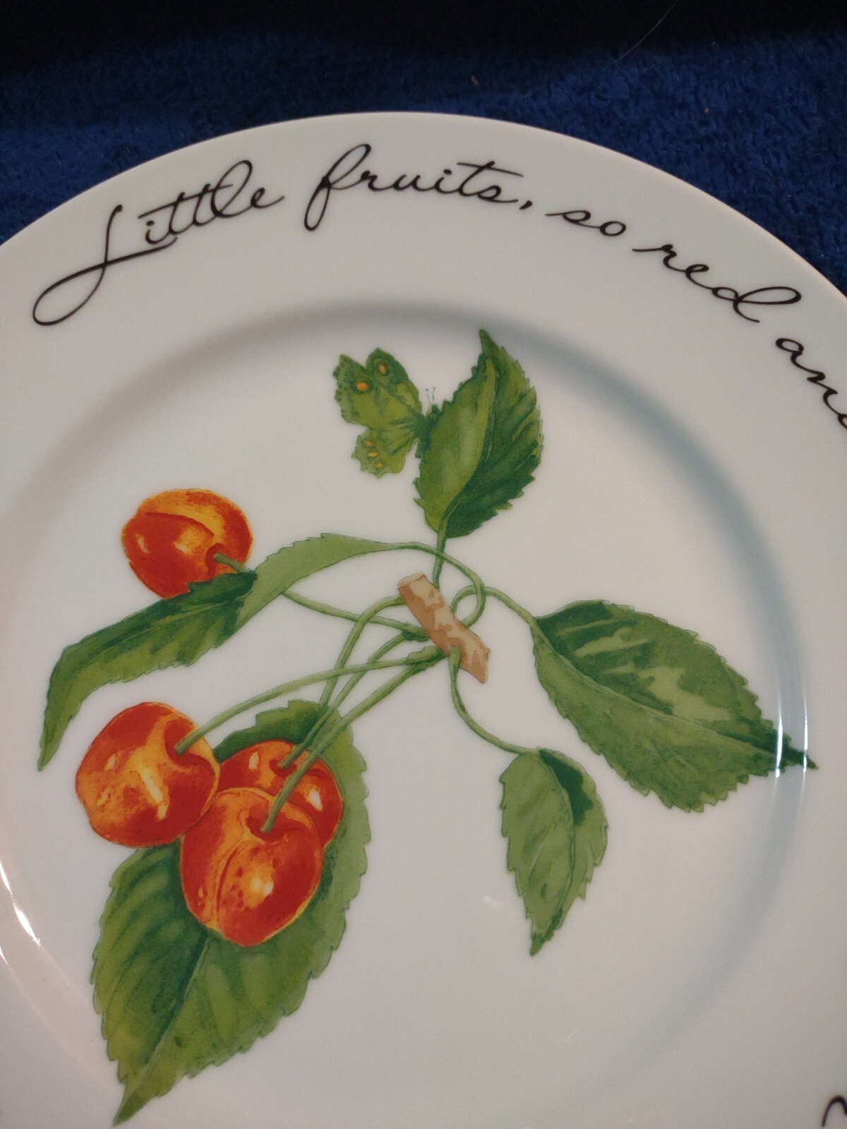 Williams-Sonoma Orchard Suite Cherries Cherry Japan 7 7/8″ Accent Salad Plate