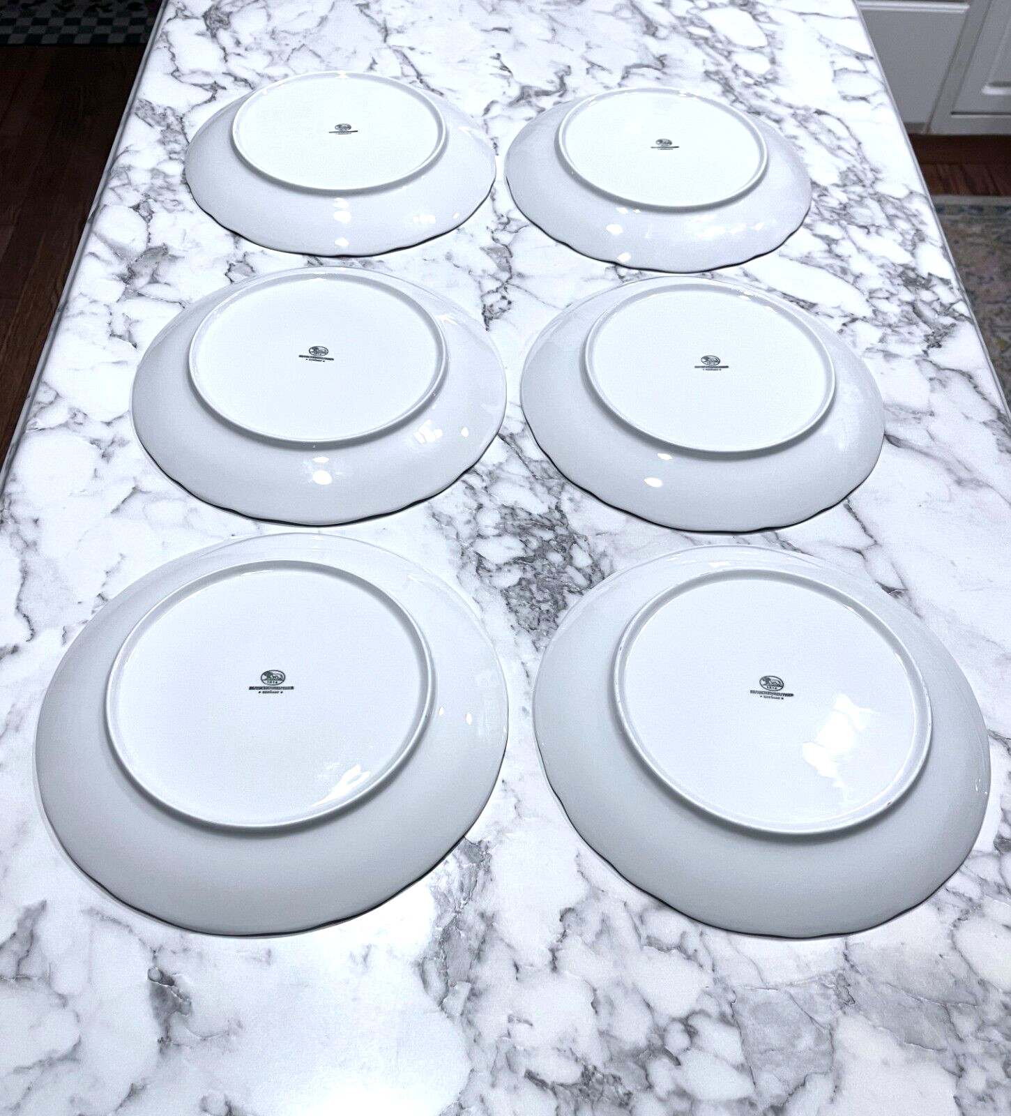 6 Hutschenreuther Engadin Maria Theresa Hotel 9 1/2″ Plates Germany Scarce EC!