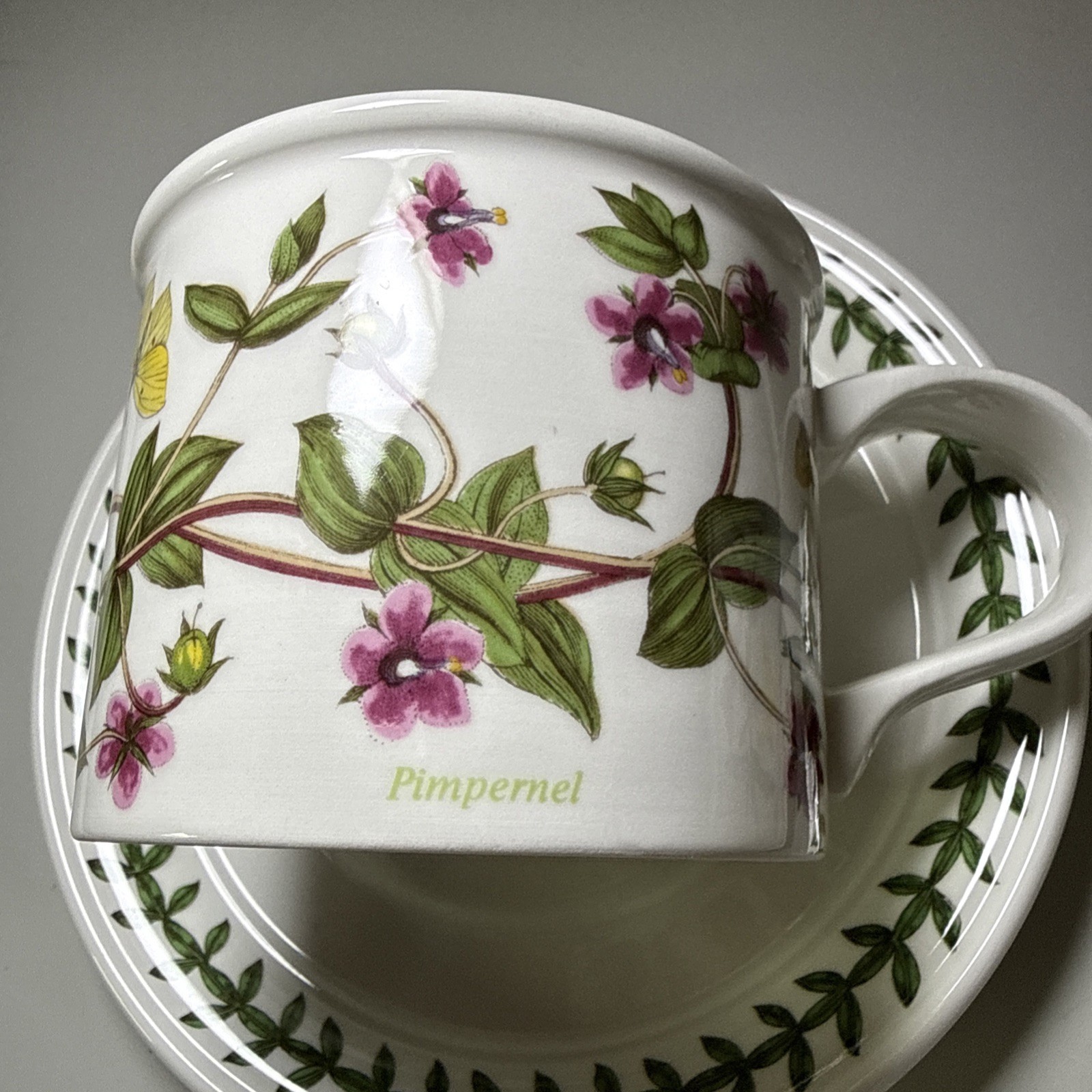 Portmeirion Botanic Garden Set of 6 Flat Cups & Saucers Made in England Assorted