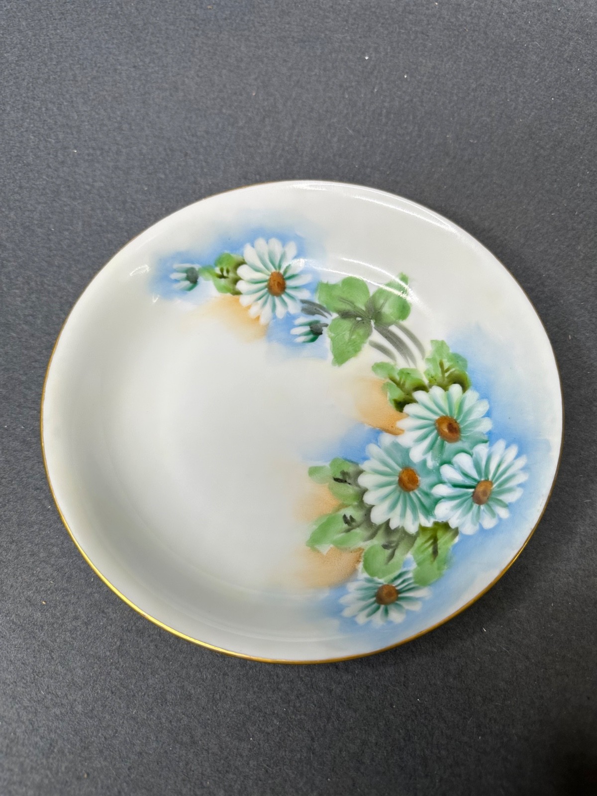 Vintage Set of (11) Hand Painted Thomas S Bavaria 7.5″ Bread Plates