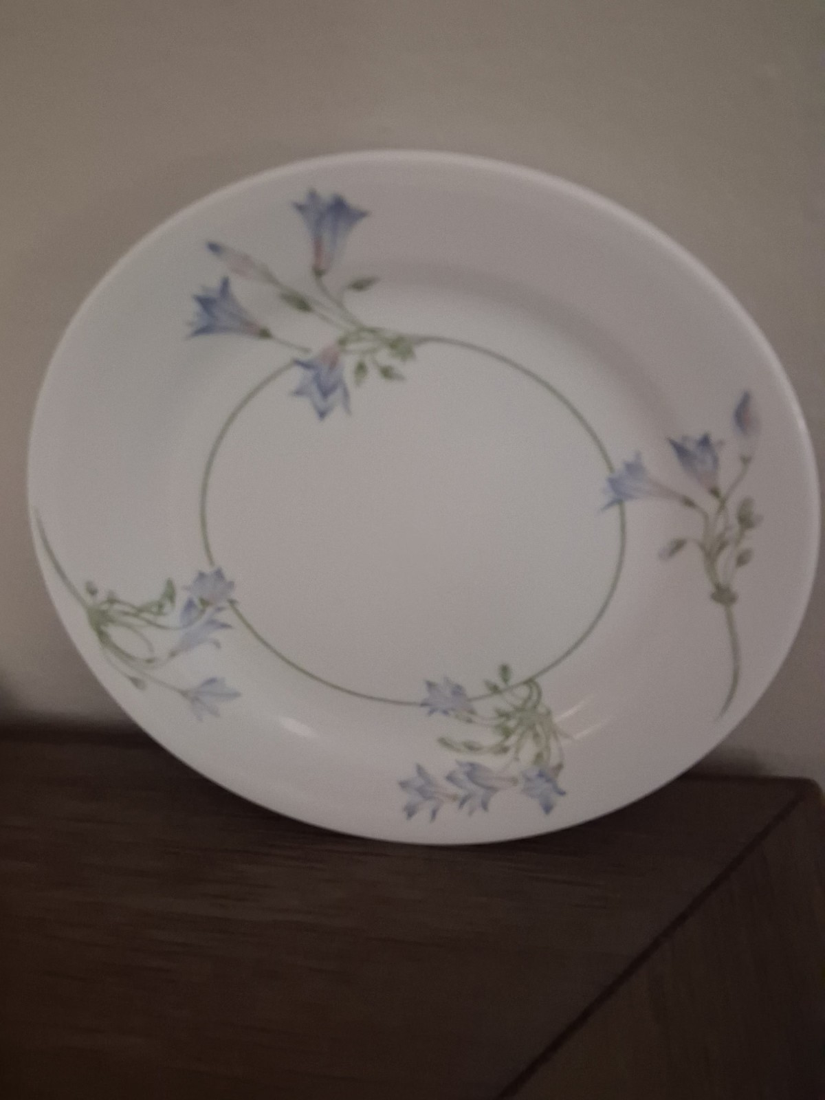 Retired 1994 Corelle Blue Dusk 7.25″ Salad/Desert Plates Bluebell Flowers 13 pc