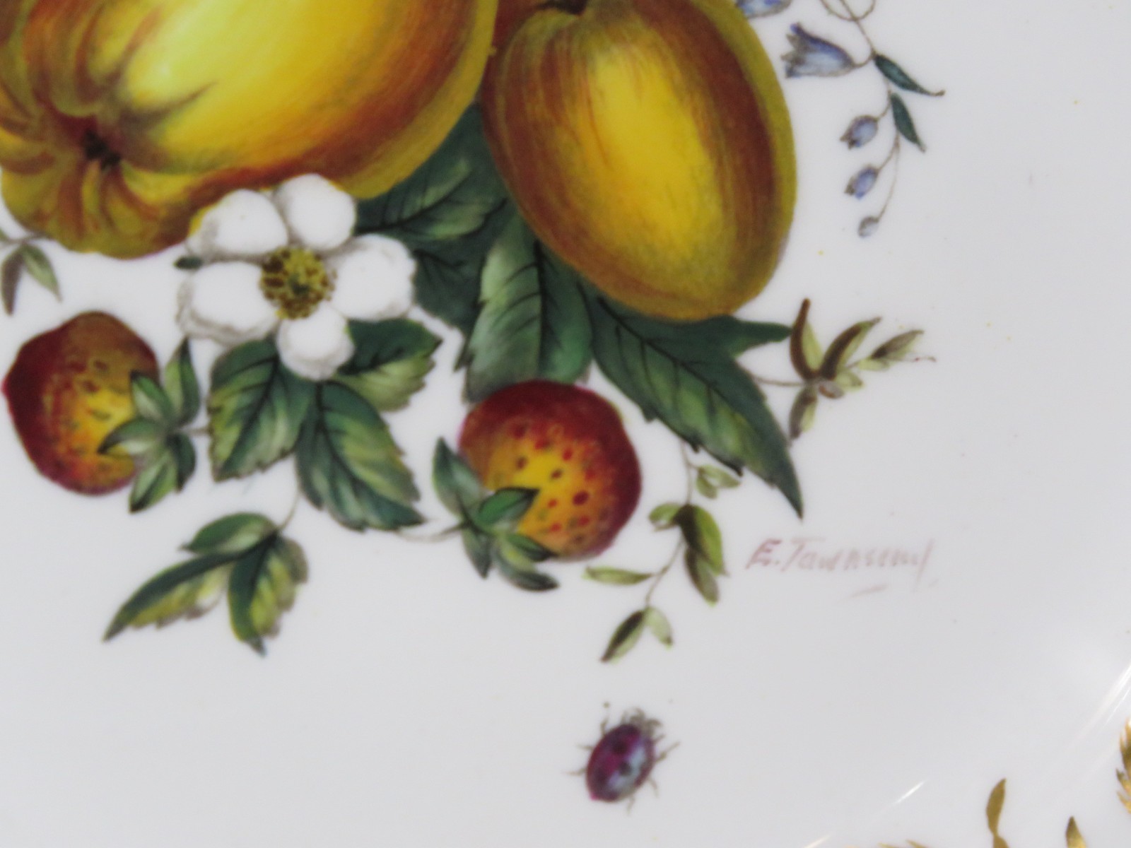 8 Royal Worcester 9″ Bone China Botanical Style Plates Signed E. Townsend