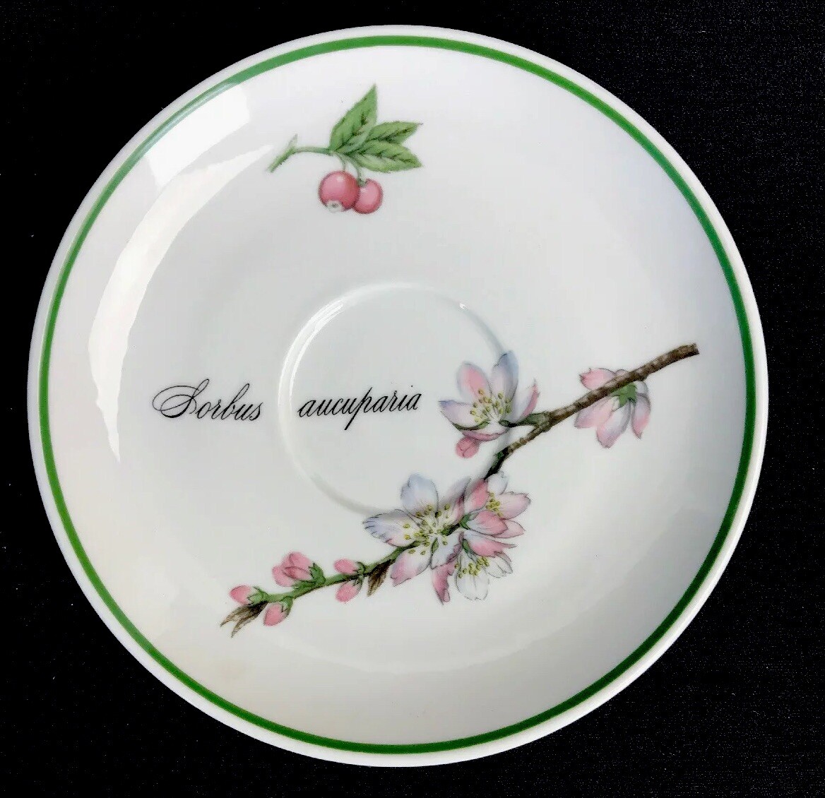 Apilco France Porcelaine Elysian Garden Two Saucers Botanical Floral Dinnerware