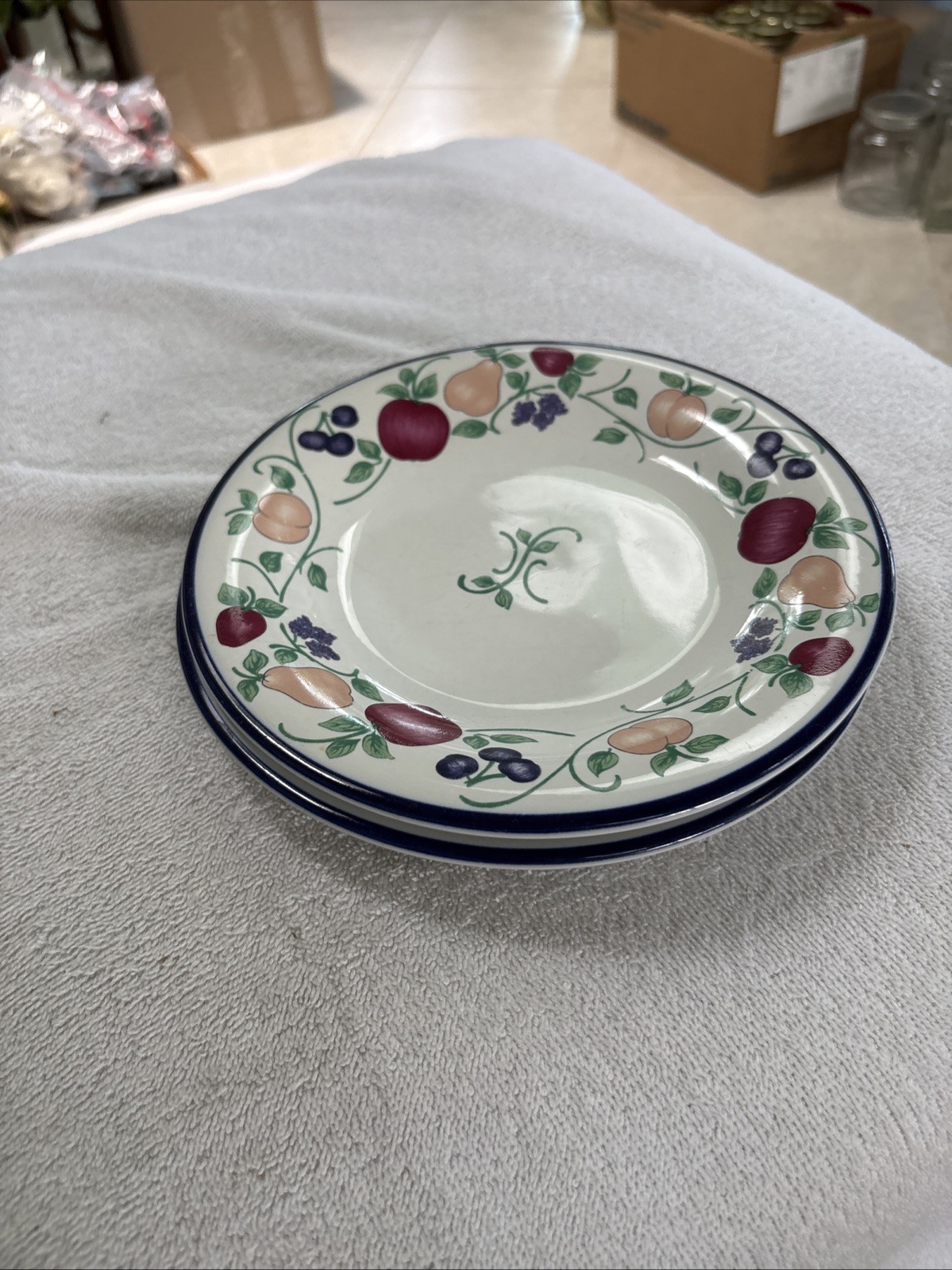 2-Princess House Orchard Medley 7 7/8″ Salad Plates Excellent Condition