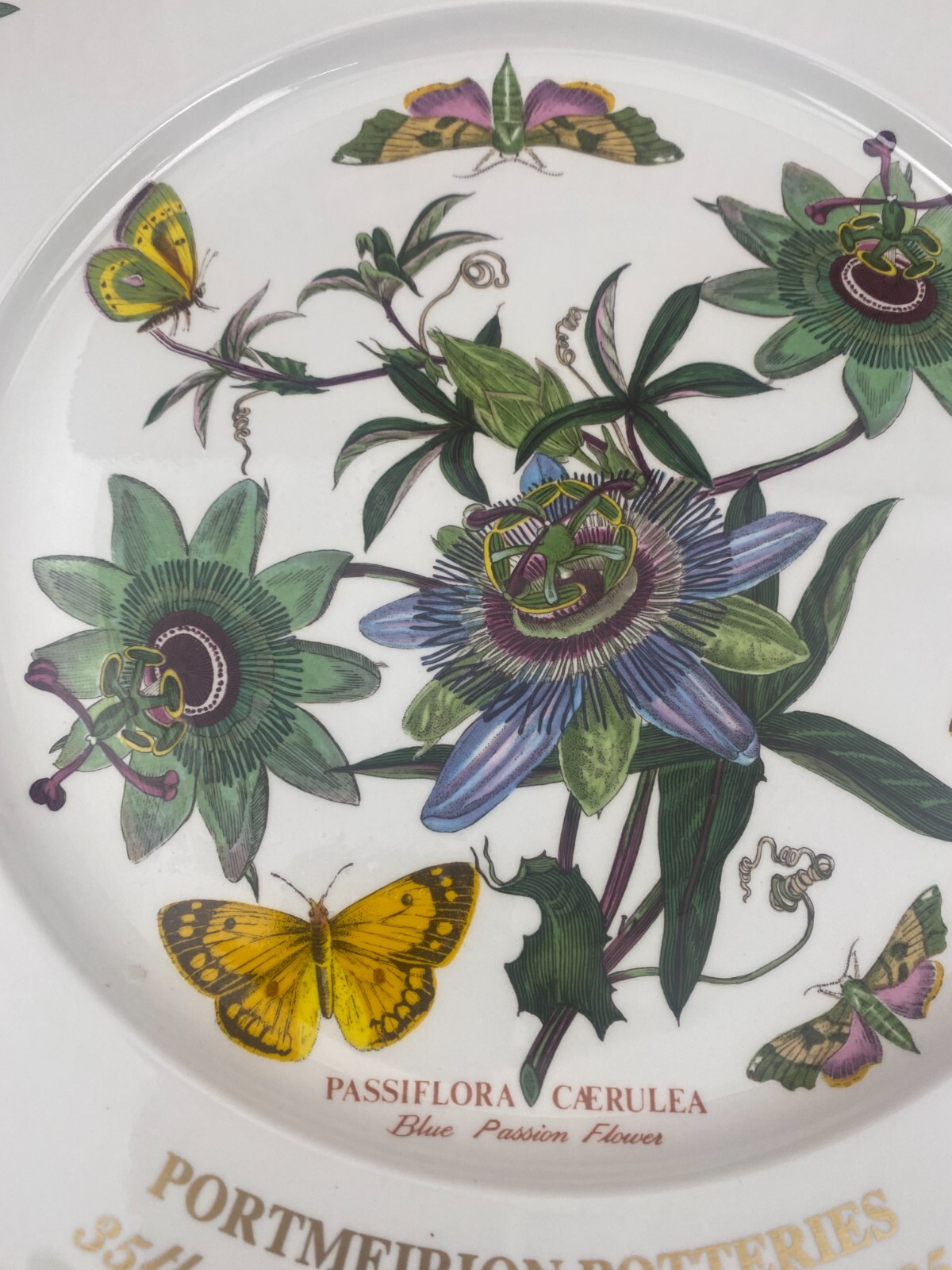 Portmeirion Botanic Garden 35th Anniversary Chop Plate Blue Passion Flower 13″