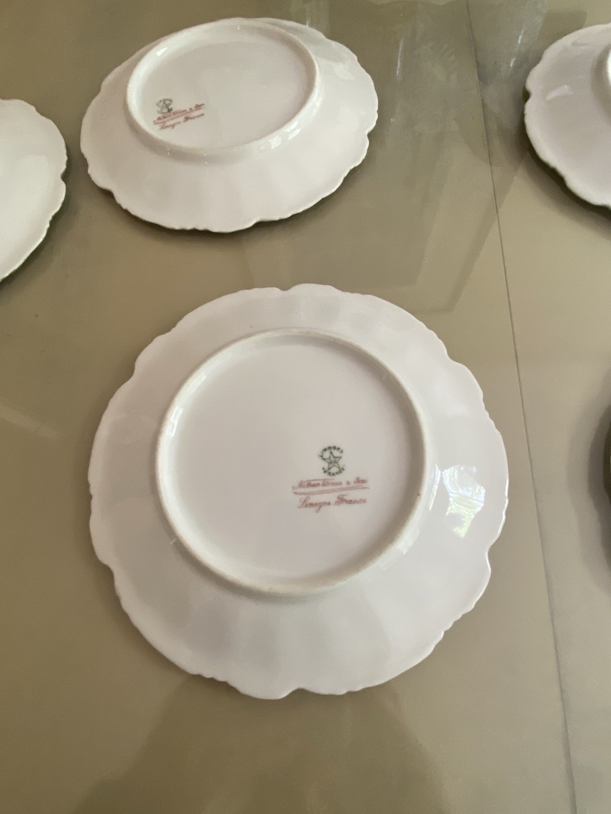 Vintage China Nathan Straus & Sons LS&S-Limoges FR Snowflake Pattern Gold Leaf
